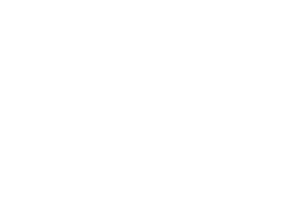 Temperaments Designs (art project) — Изображение №4 — Брендинг, Графика на Dprofile