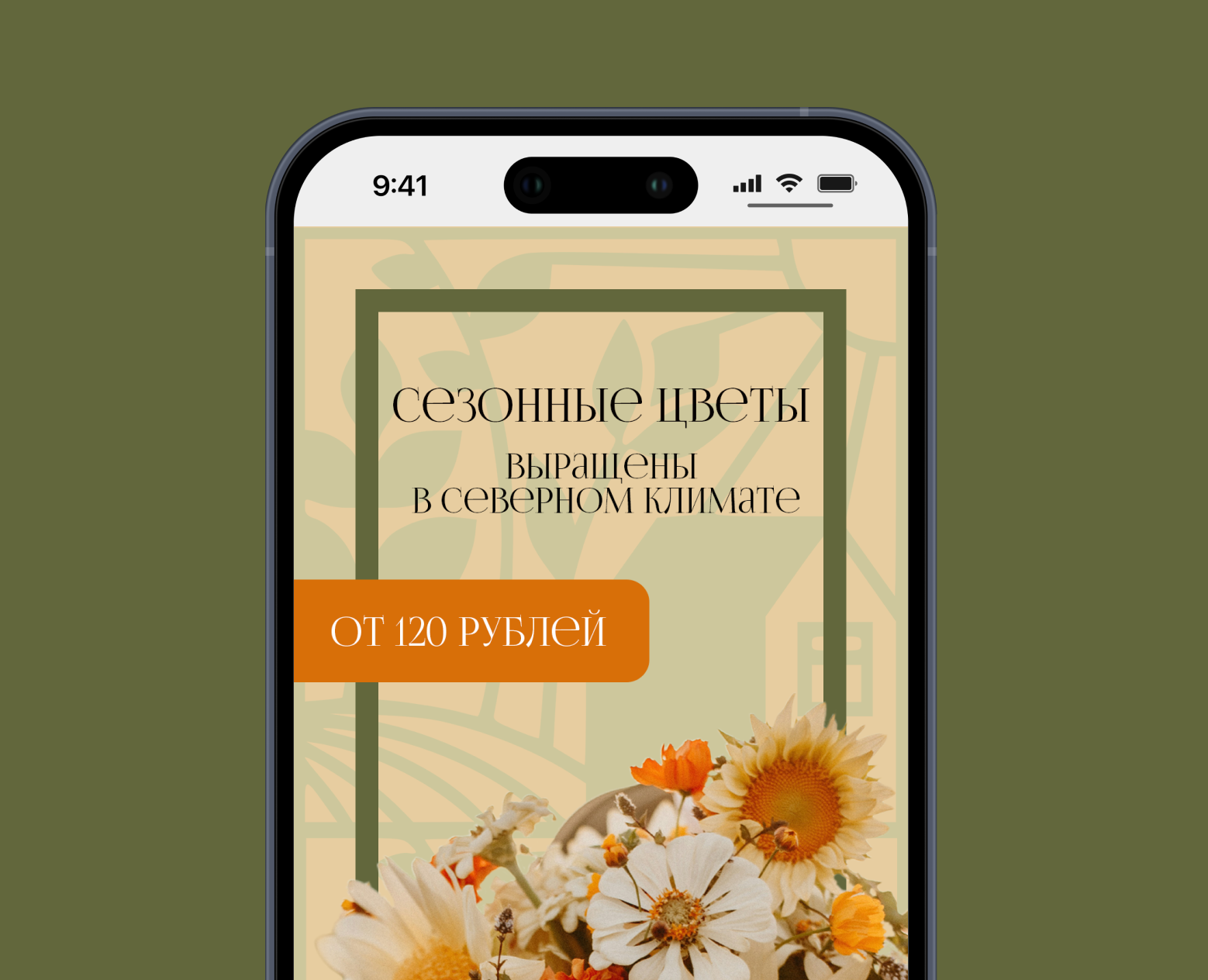 Разработка баннеров и шаблонов для соц. сетей — Брендинг, Маркетинг на Dprofile