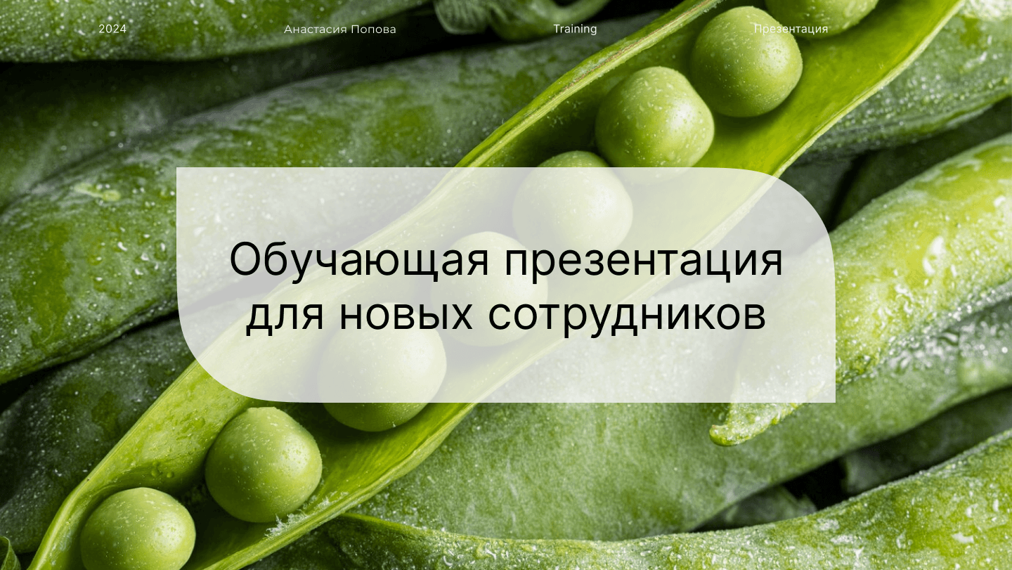 Обучающая презентация — Изображение №1 — Иллюстрация, Графика на Dprofile