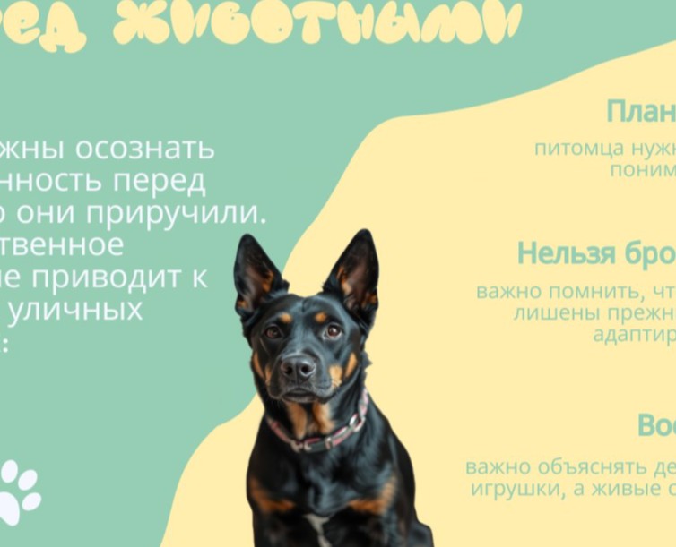 Презентация для приюта на Dprofile