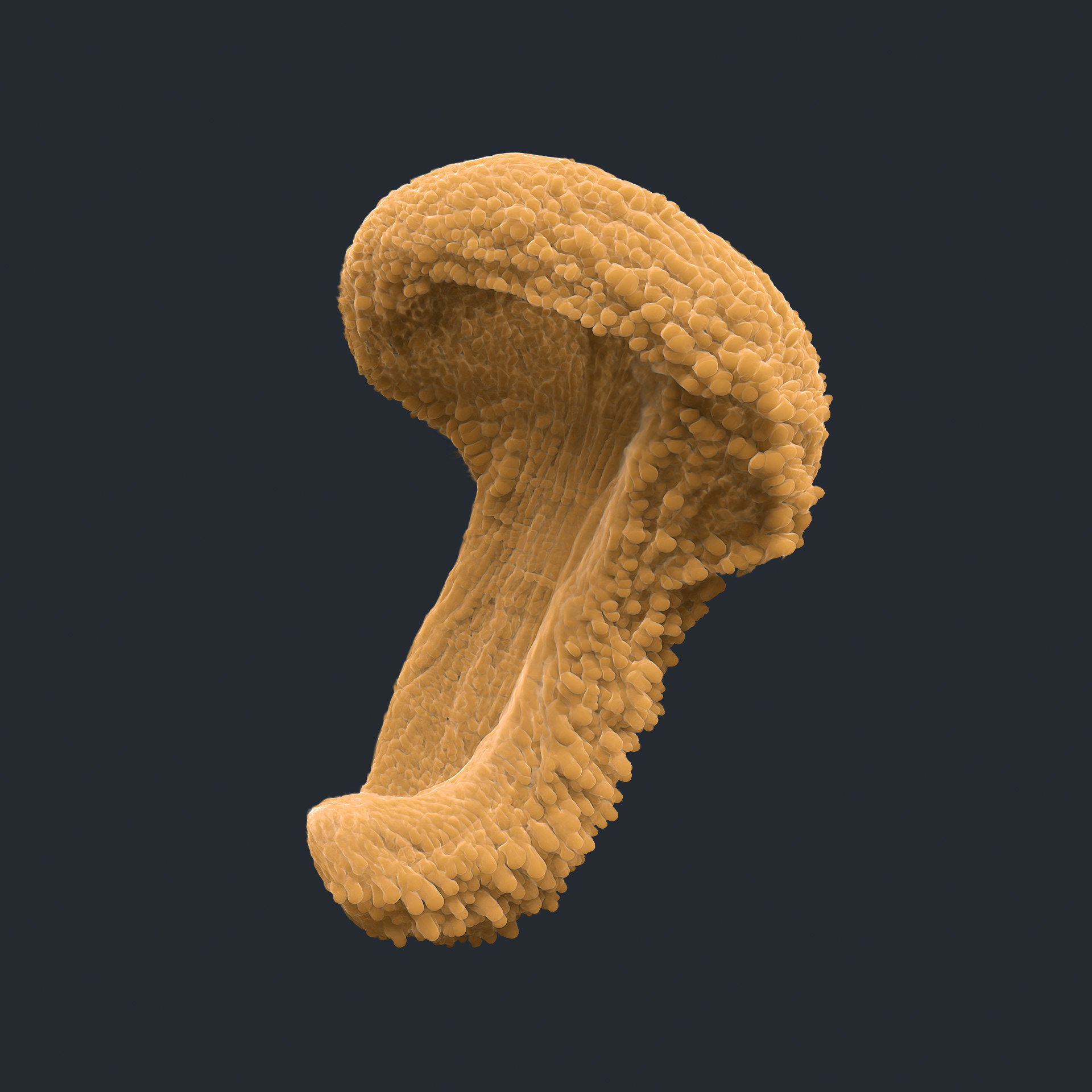 Jellyshrooms — Изображение №3 — 3D, Анимация на Dprofile