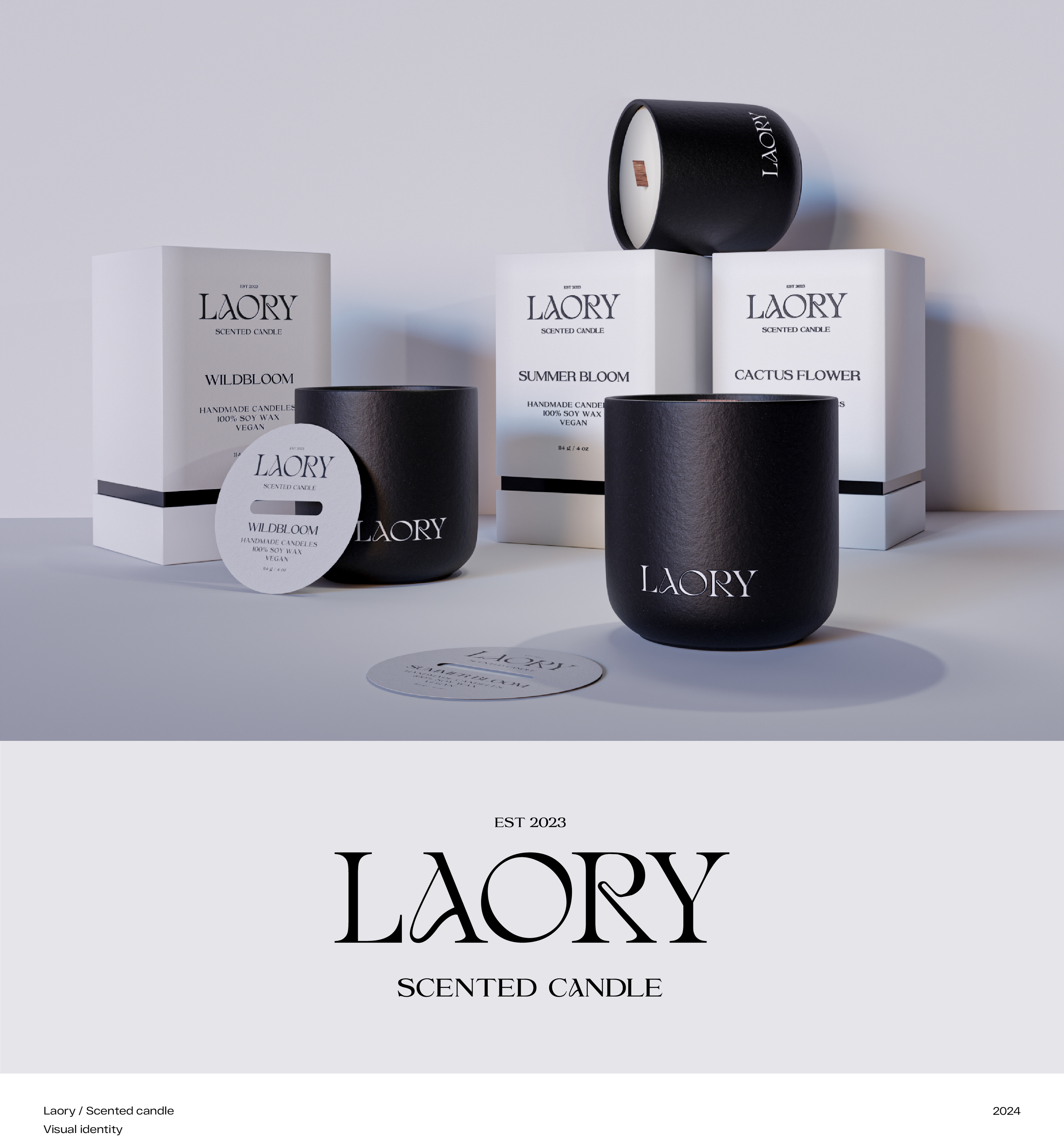 Brand identity & packaging design / Логотип фирменный стиль — Изображение №1 — Брендинг, 3D на Dprofile