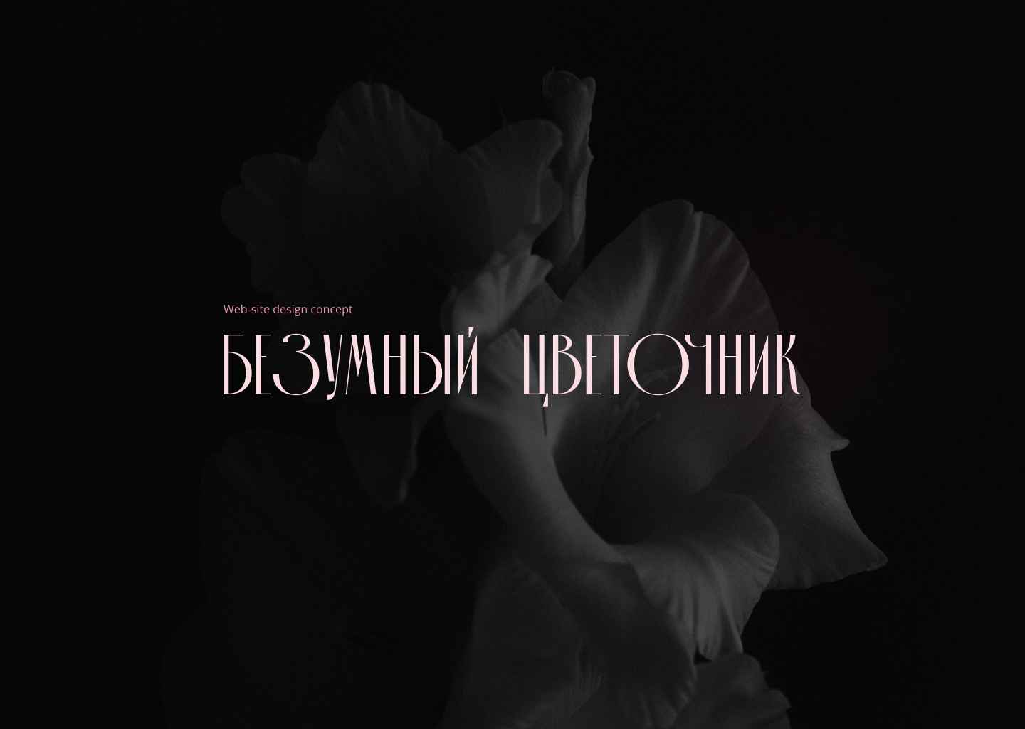 Безумный цветочник — дизайн-концепция сайта — Изображение №1 — Интерфейсы на Dprofile