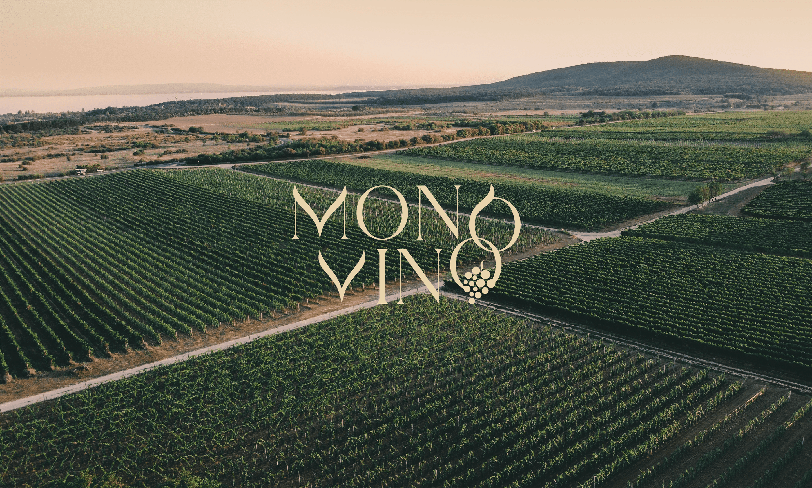 Mono Vino logo design / wine logo design — Изображение №1 — Графика на Dprofile