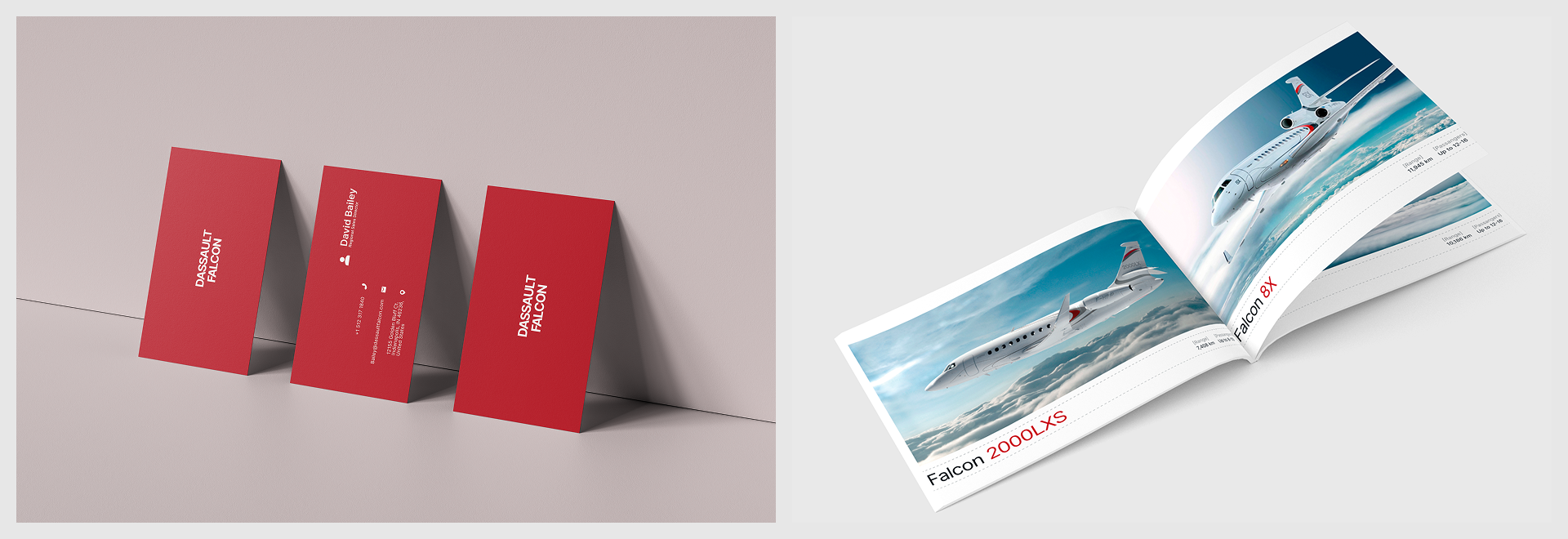 Dassault Falcon — Изображение №15 — Интерфейсы, Брендинг на Dprofile