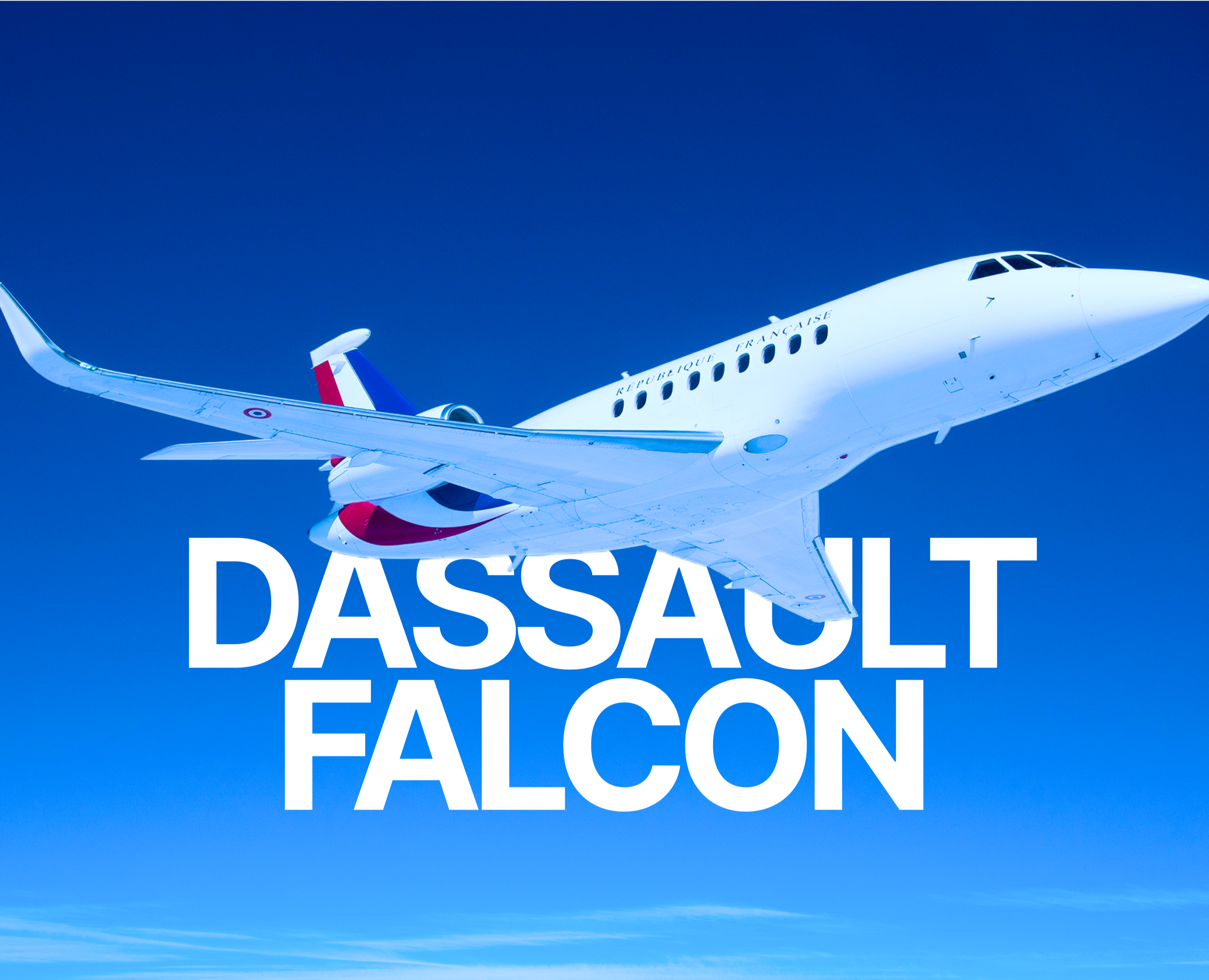 Dassault Falcon — Интерфейсы, Брендинг на Dprofile