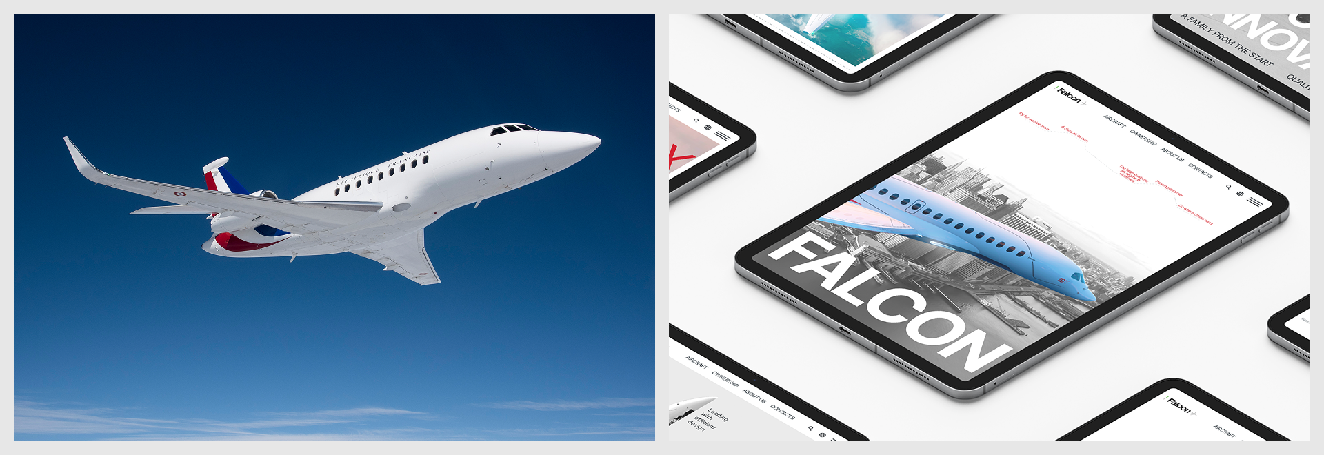 Dassault Falcon — Изображение №10 — Интерфейсы, Брендинг на Dprofile