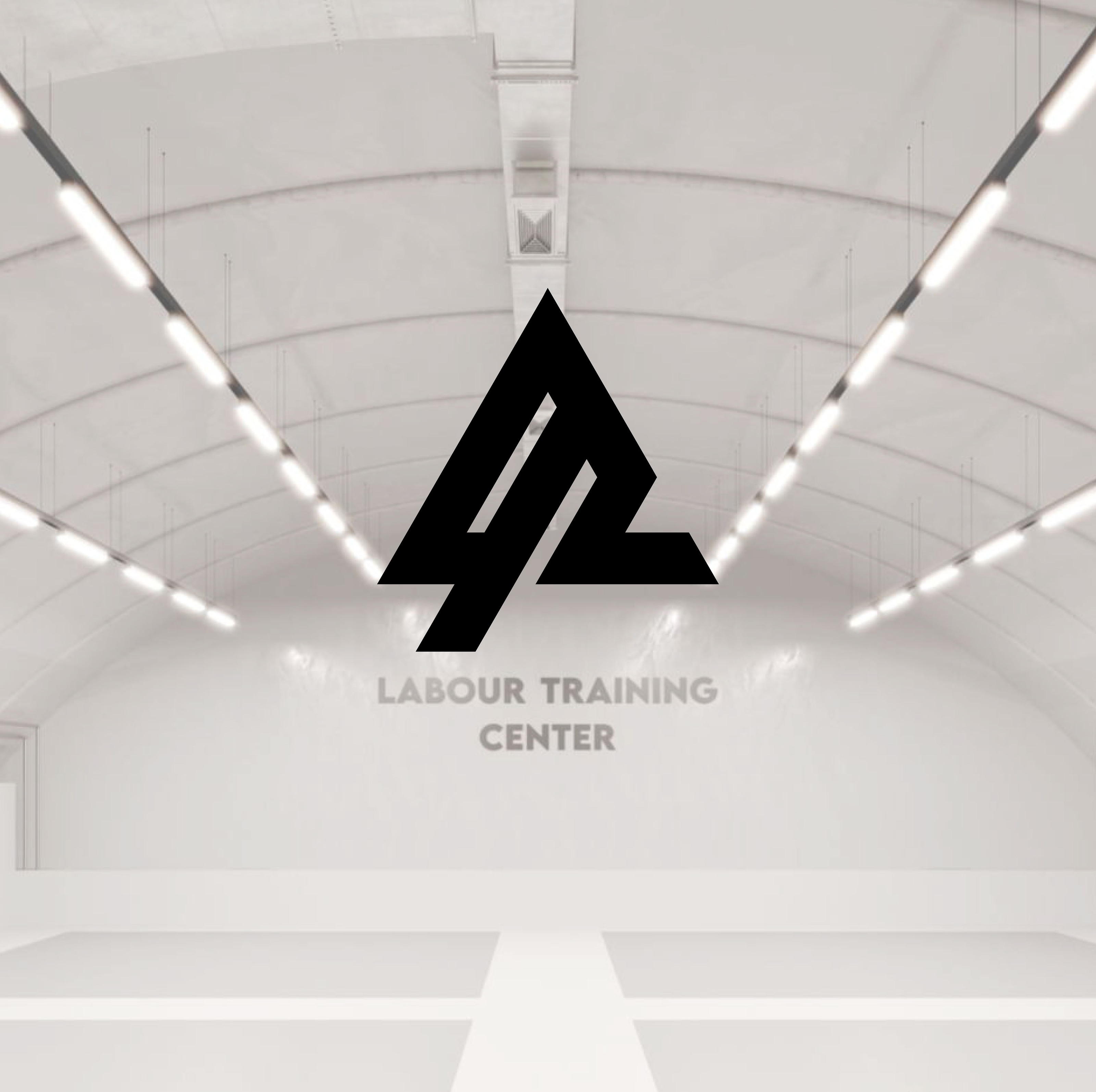 LABOUR TRAINING CENTER — Изображение №1 — Брендинг на Dprofile