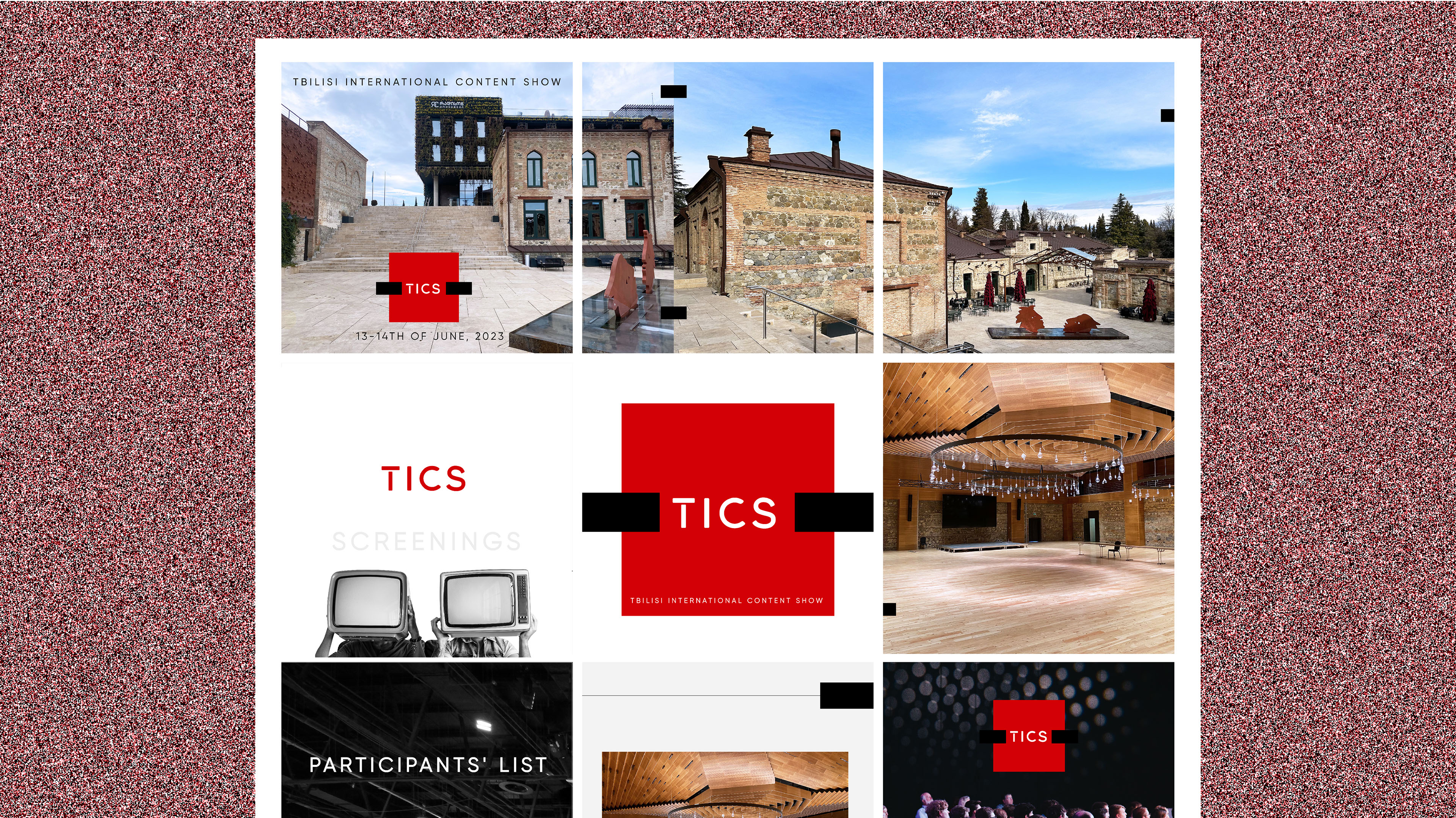 TICS Tbilisi International Content Show — Изображение №5 — Брендинг, Графика на Dprofile