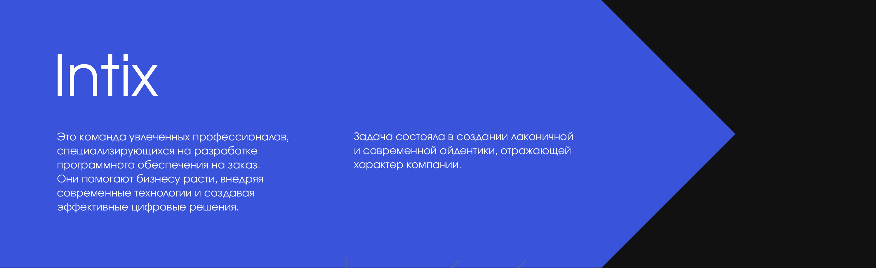 Intix — Изображение №2 — Брендинг, Графика на Dprofile