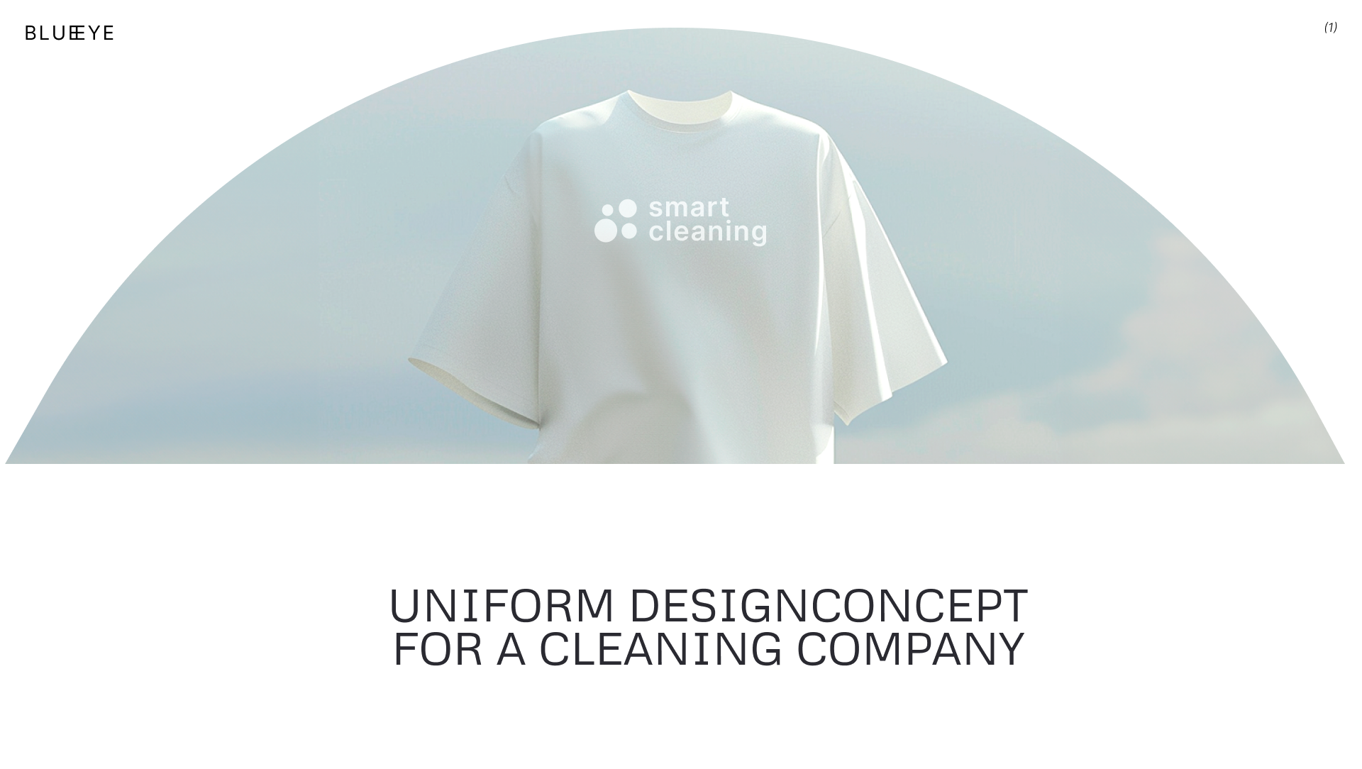 Smart cleaning — Branding clothes — Изображение №1 — Брендинг, Маркетинг на Dprofile