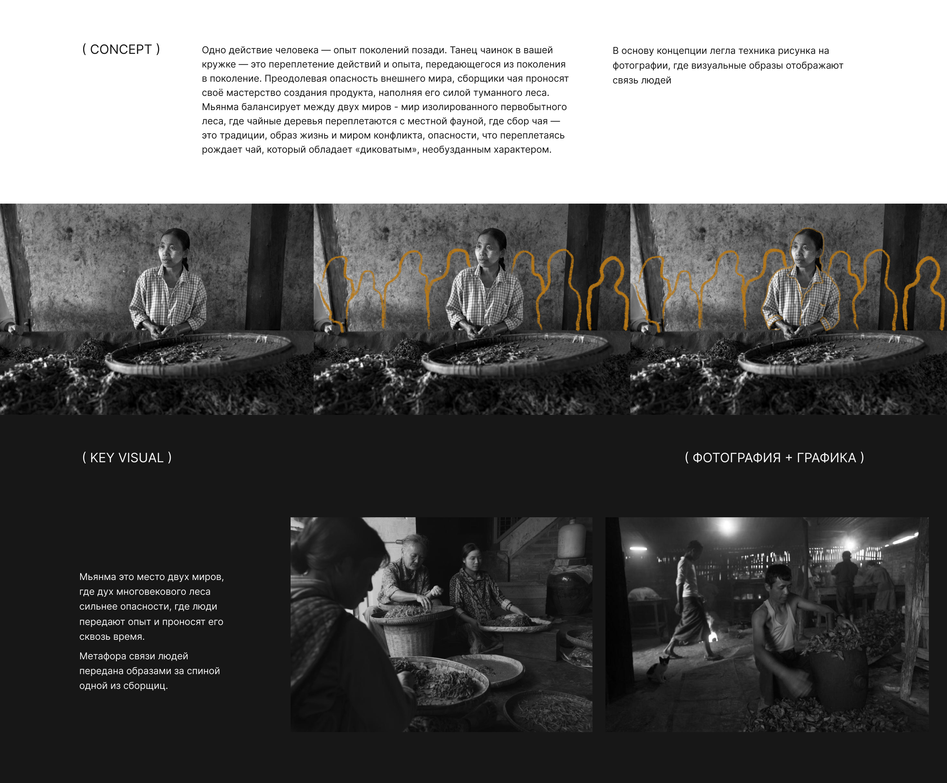 Чай. Люди. Места — Изображение №7 — Интерфейсы, Брендинг на Dprofile