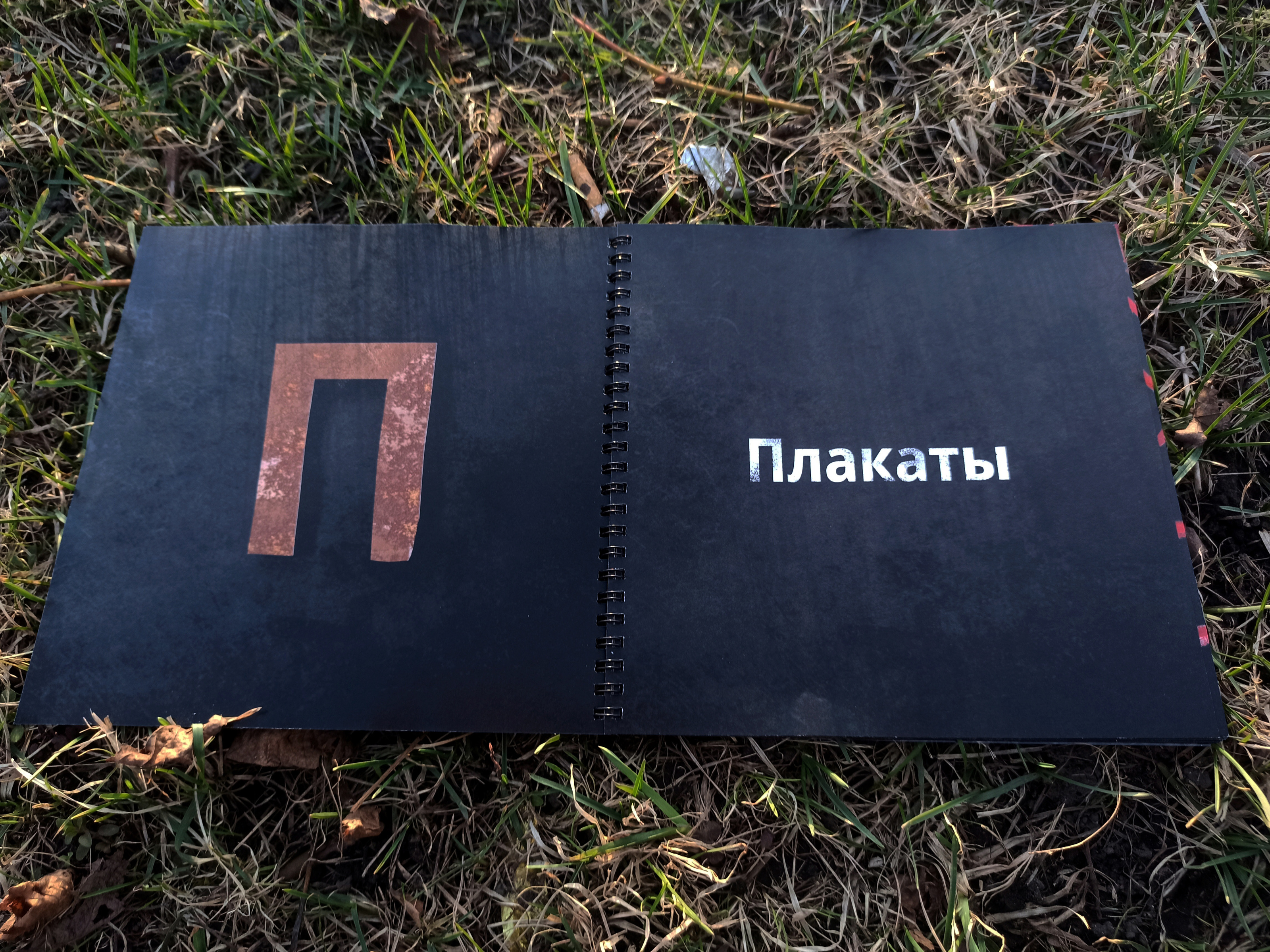 Брошюра с портфолио — Изображение №7 — Графика на Dprofile