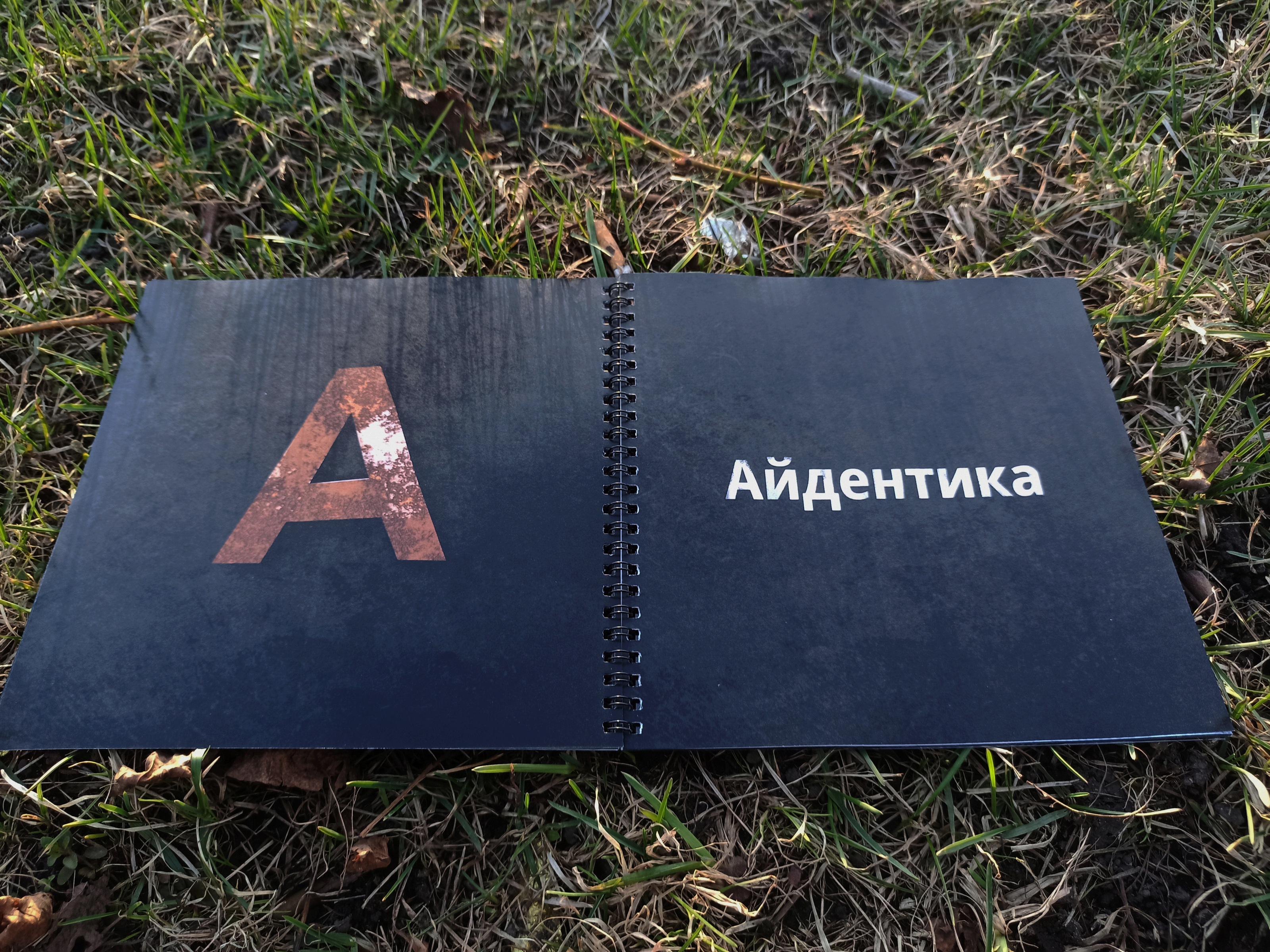 Брошюра с портфолио — Изображение №19 — Графика на Dprofile