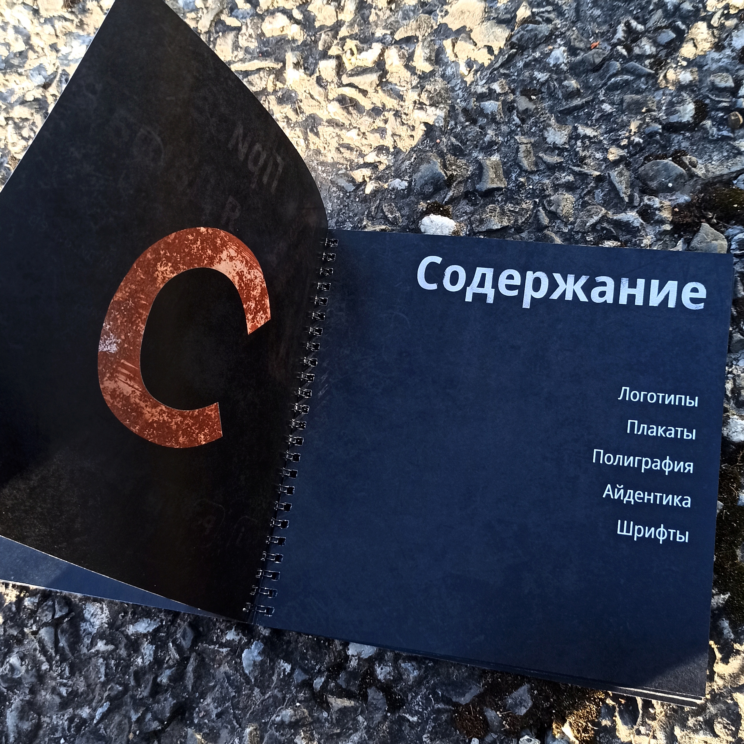 Брошюра с портфолио — Изображение №3 — Графика на Dprofile