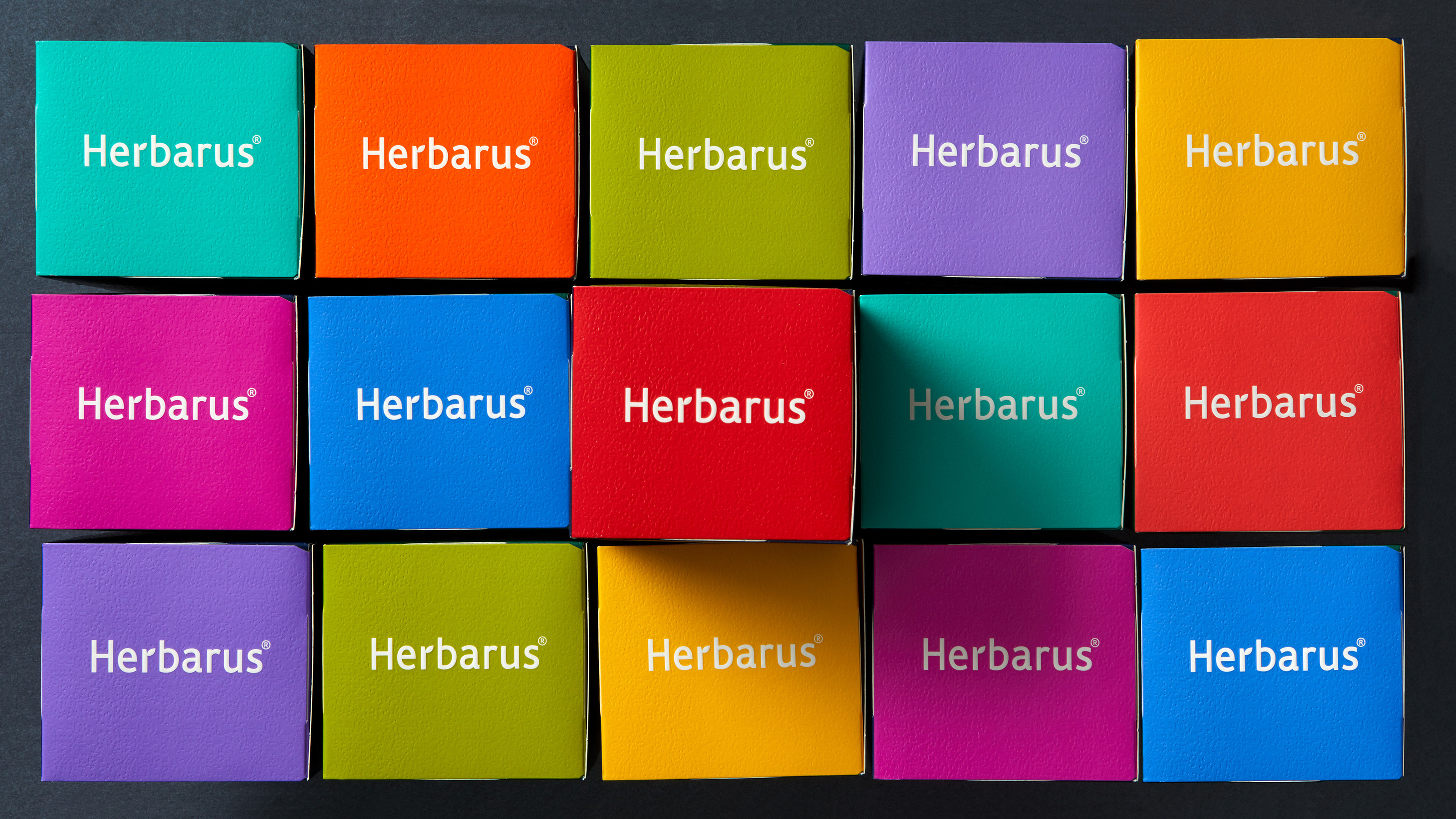 Herbarus — Изображение №11 — Брендинг, Иллюстрация на Dprofile