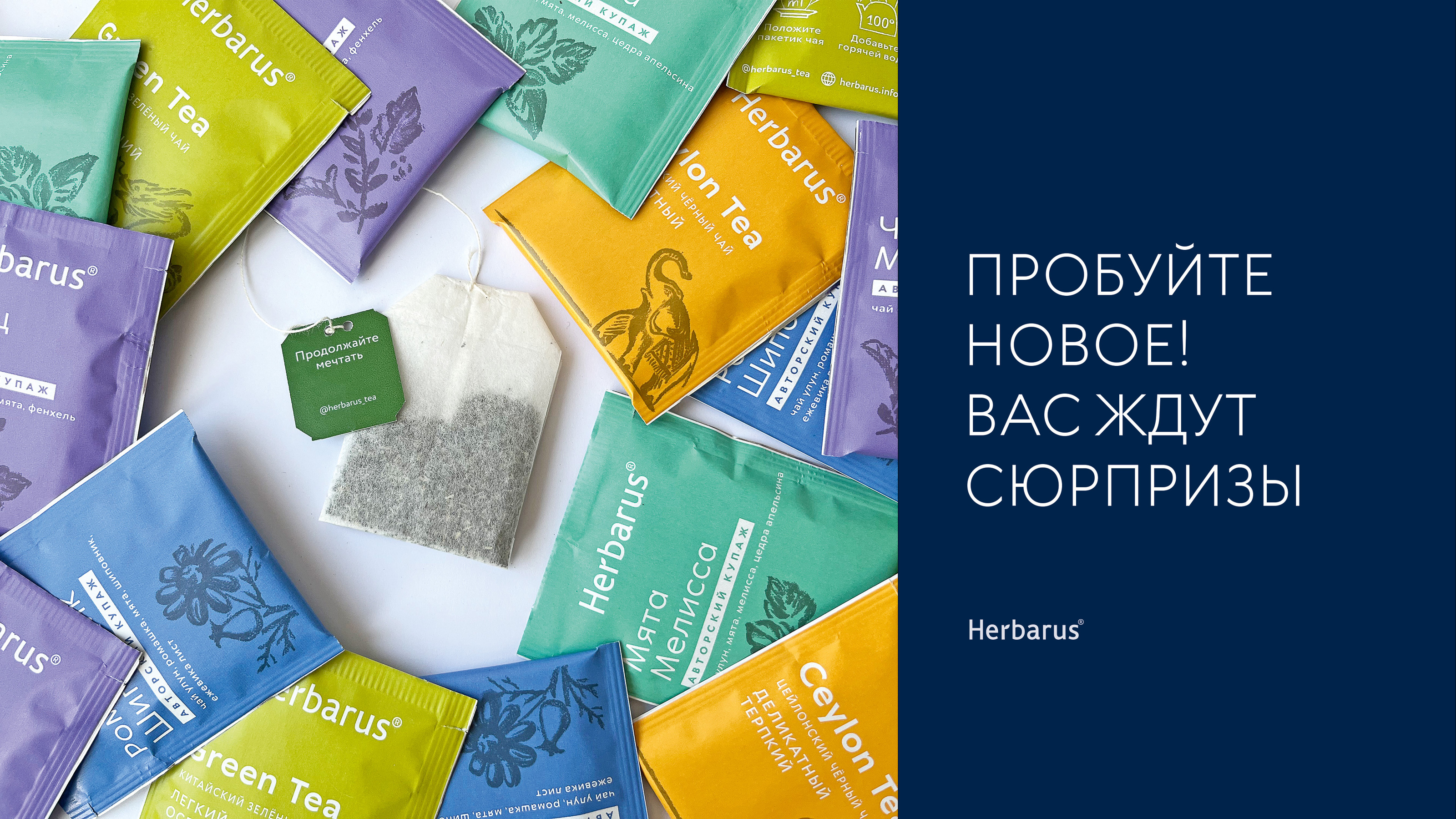 Herbarus — Изображение №16 — Брендинг, Иллюстрация на Dprofile