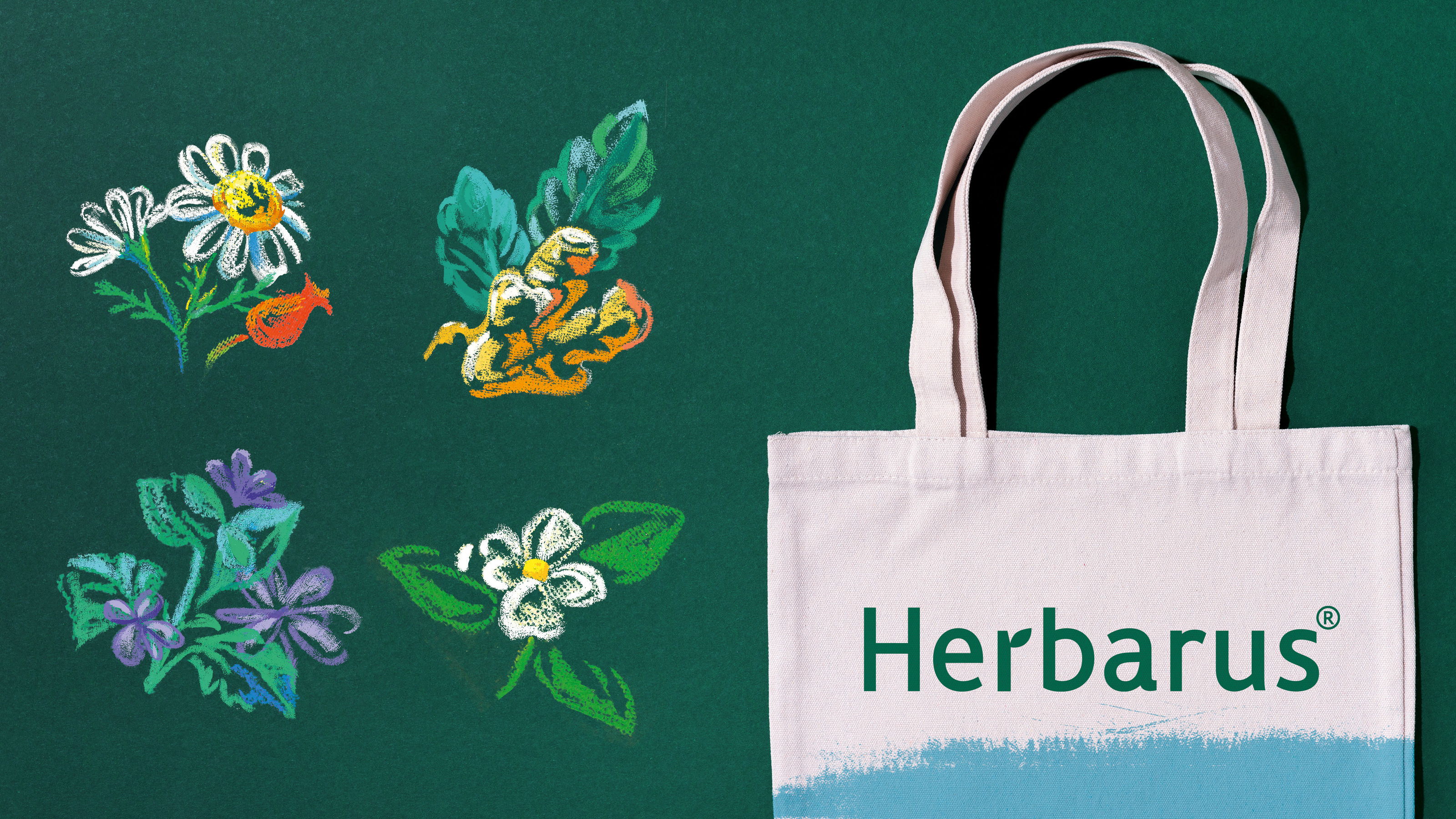 Herbarus — Изображение №15 — Брендинг, Иллюстрация на Dprofile