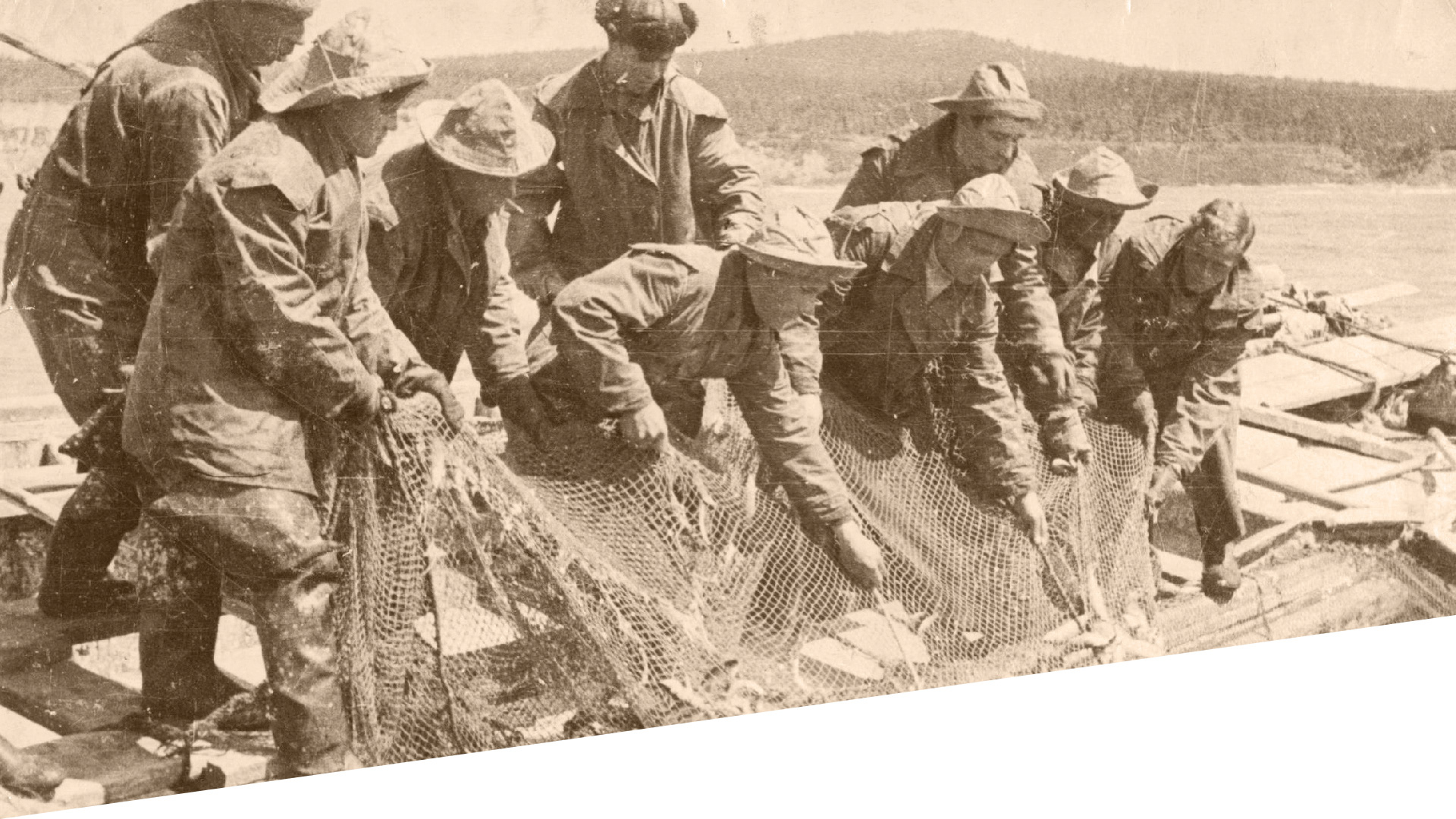 Integra labels design 2018 — Изображение №7 — Брендинг на Dprofile