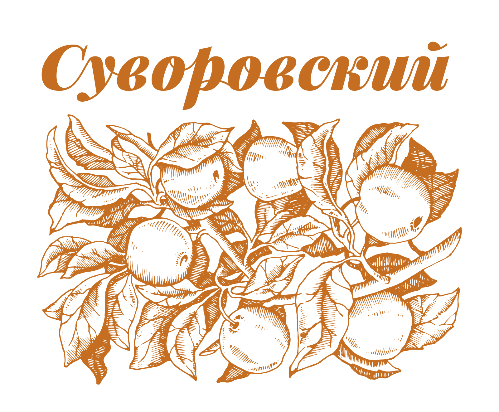 Сидр Суворовский — Изображение №2 — Брендинг, Графика на Dprofile