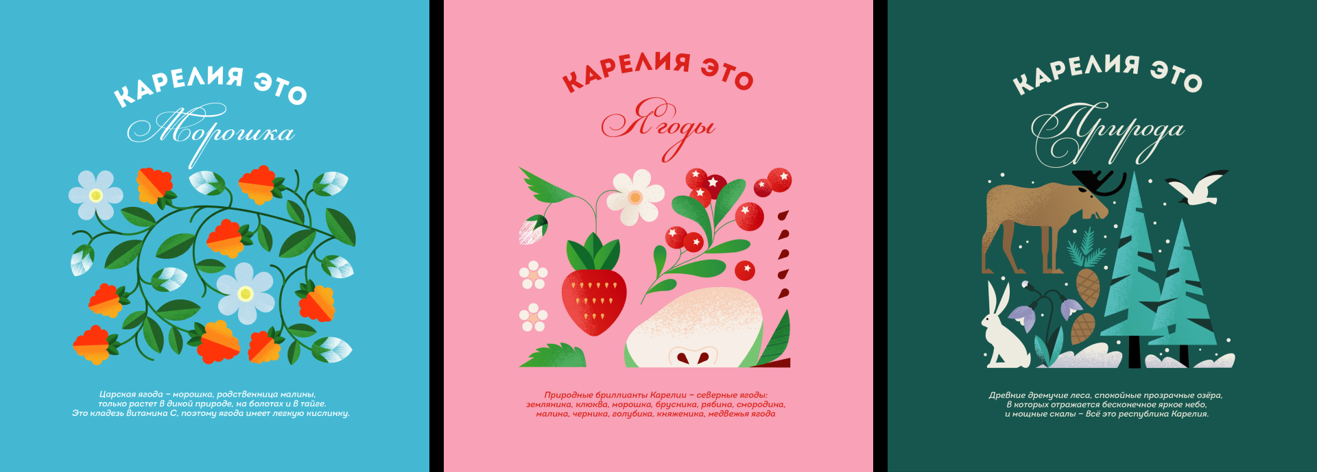 Мерч Карелии. Принты '25 — Изображение №2 — Иллюстрация на Dprofile