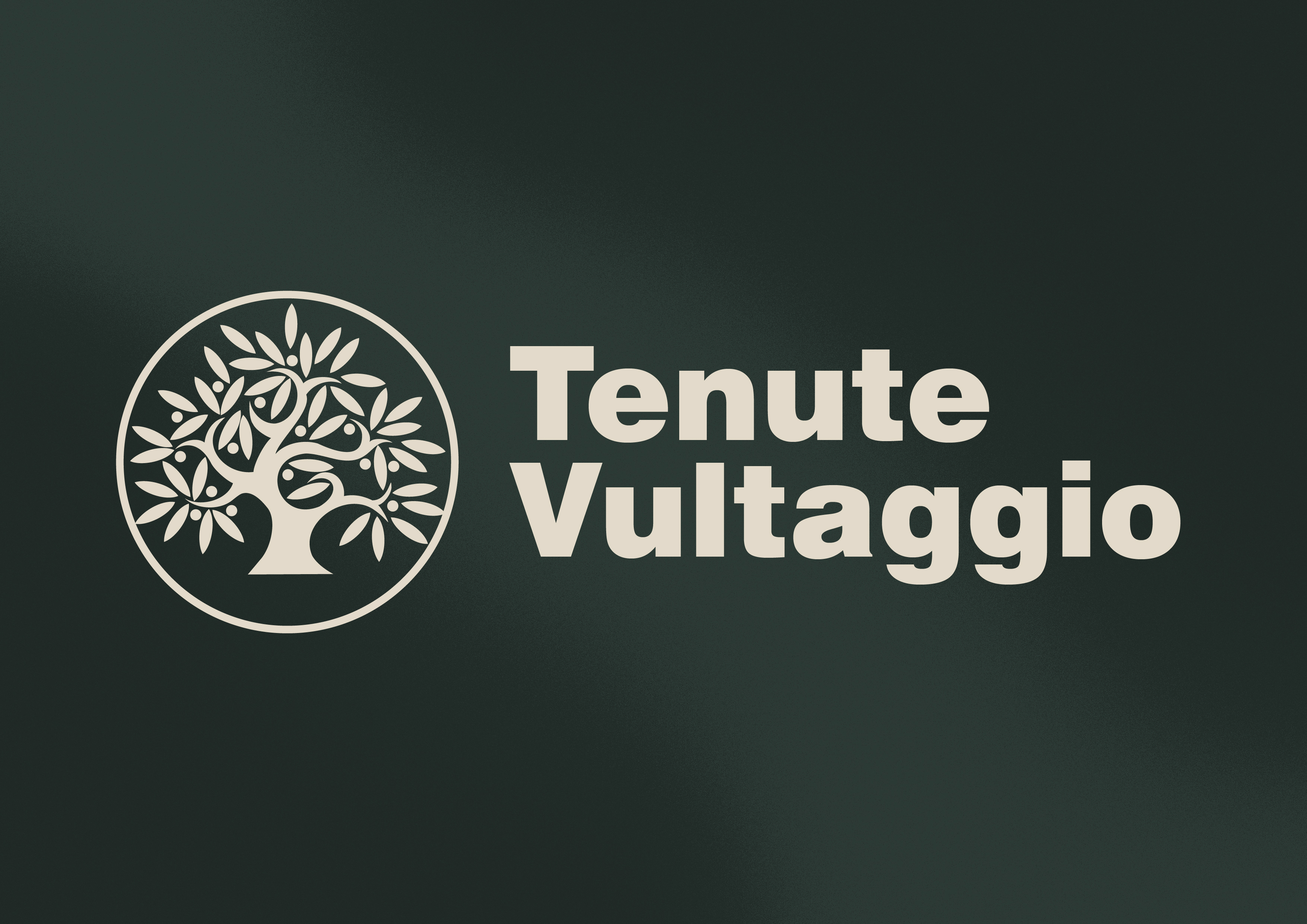Ребрендинг Tenute Vultaggio — Изображение №1 — Брендинг на Dprofile