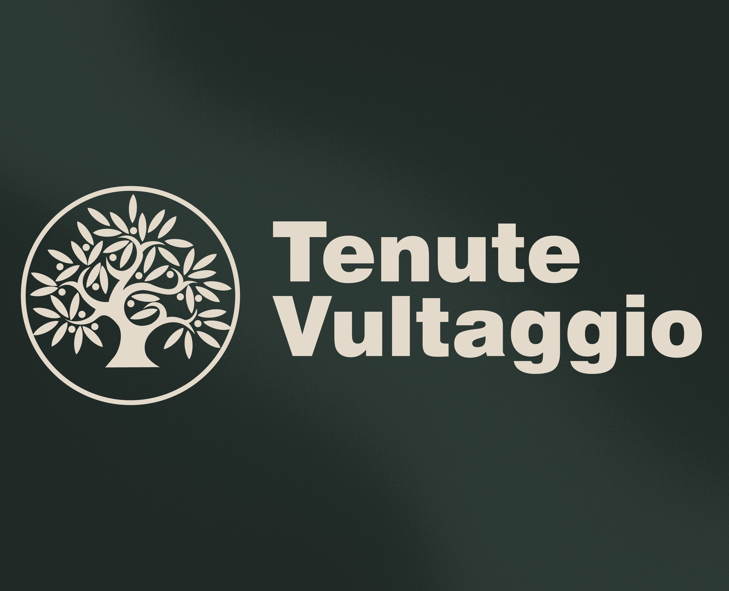 Ребрендинг Tenute Vultaggio на Dprofile