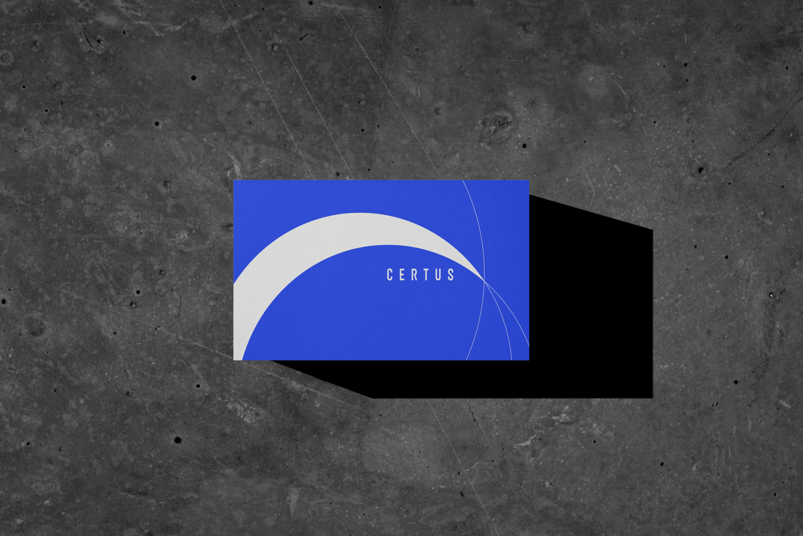 CERTUS FINANCE — Web & Branding — Изображение №4 — Интерфейсы, Брендинг на Dprofile