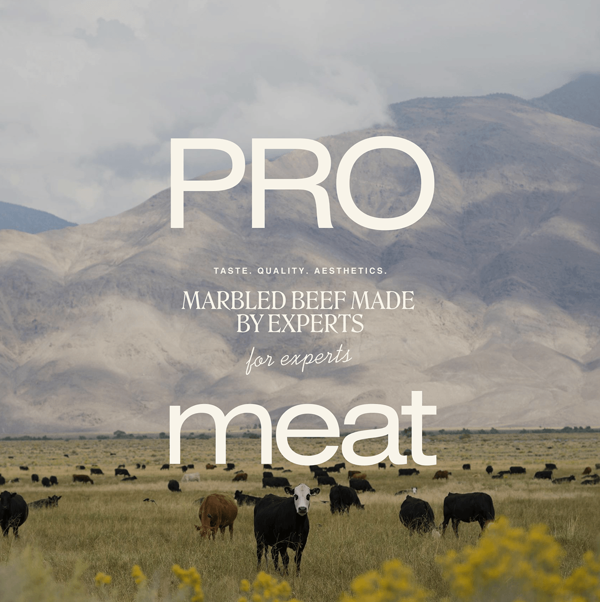 Promeat — Изображение №16 — Интерфейсы, Брендинг на Dprofile