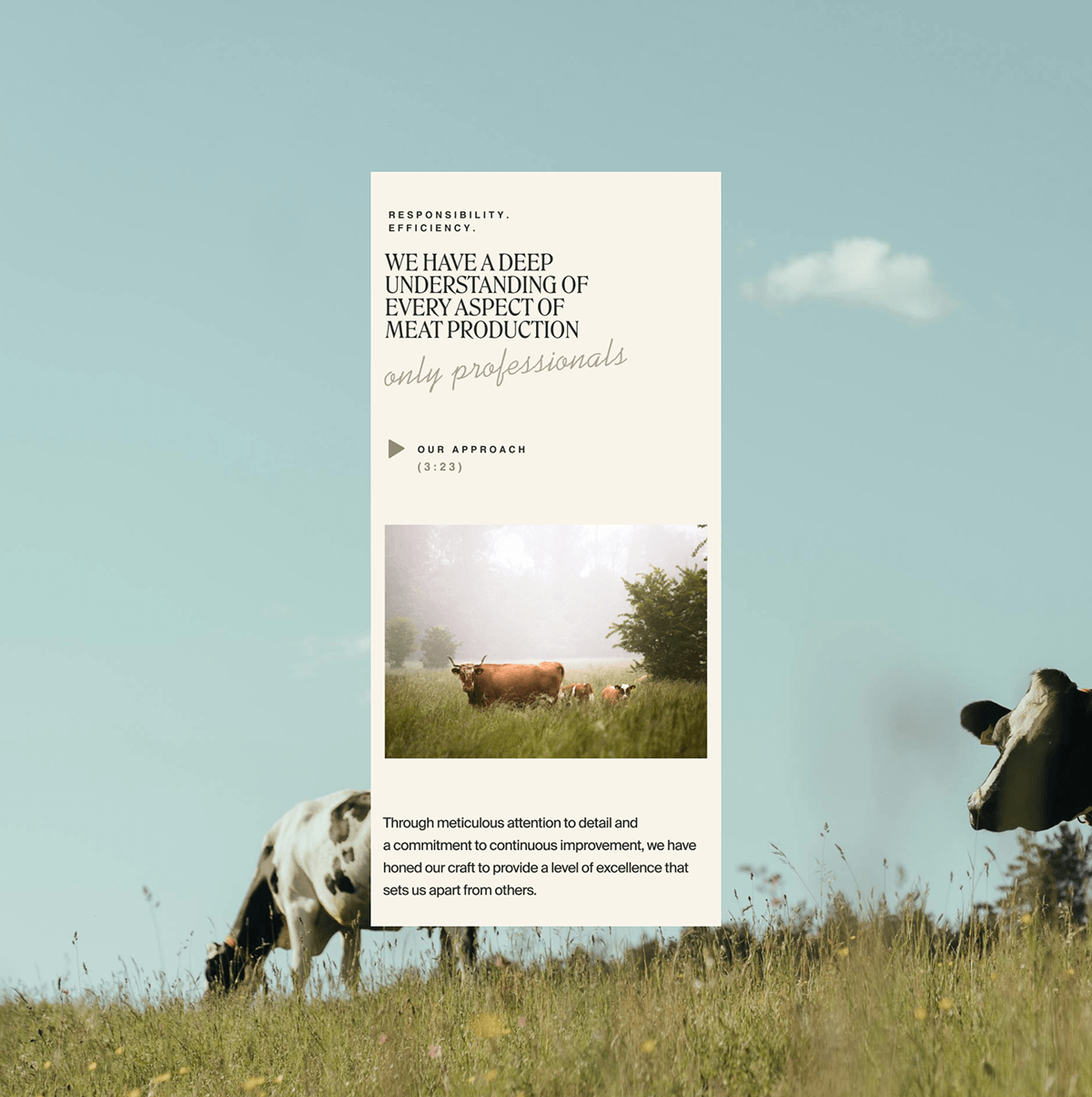 Promeat — Изображение №7 — Интерфейсы, Брендинг на Dprofile