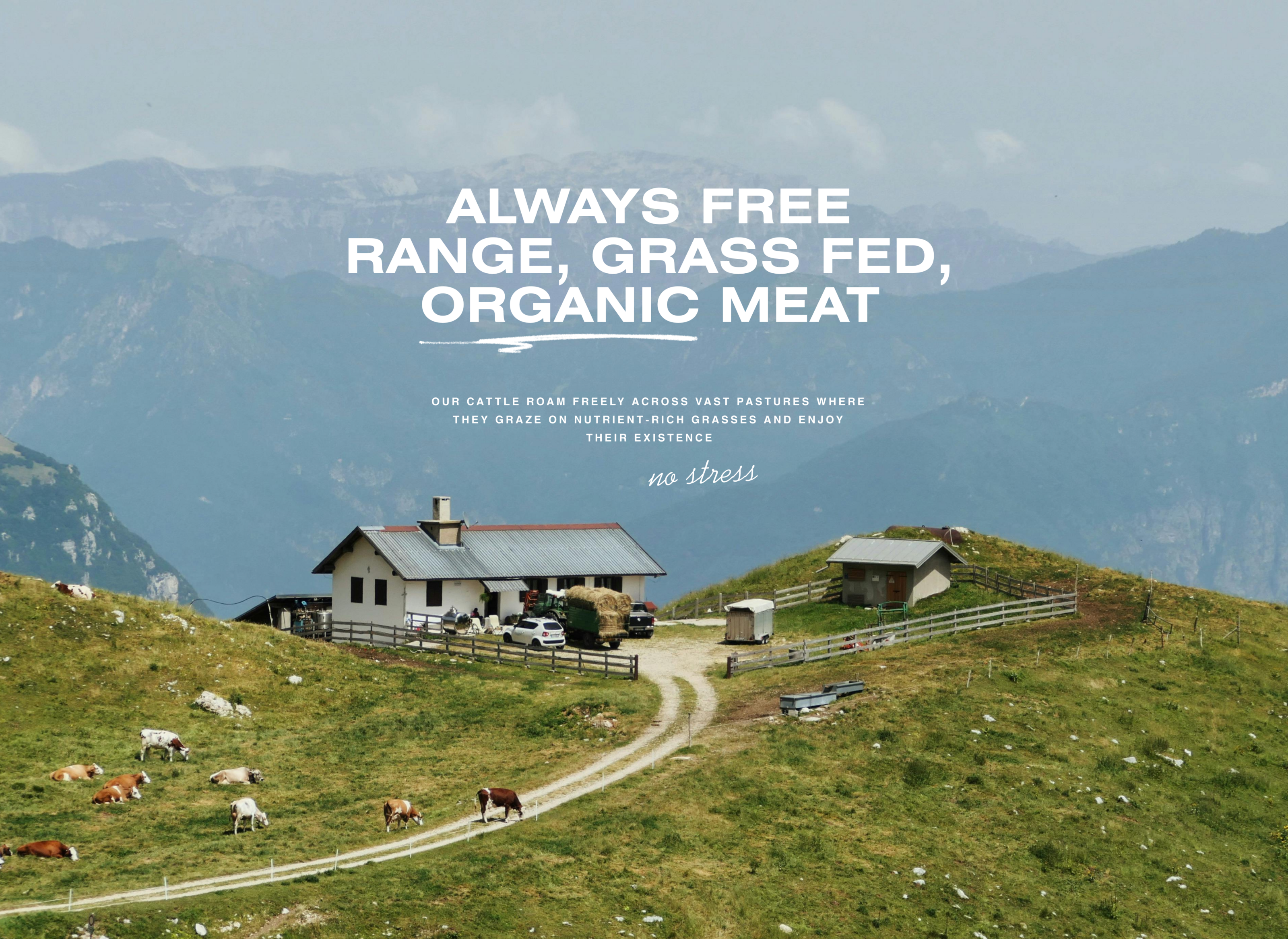 Promeat — Изображение №11 — Интерфейсы, Брендинг на Dprofile