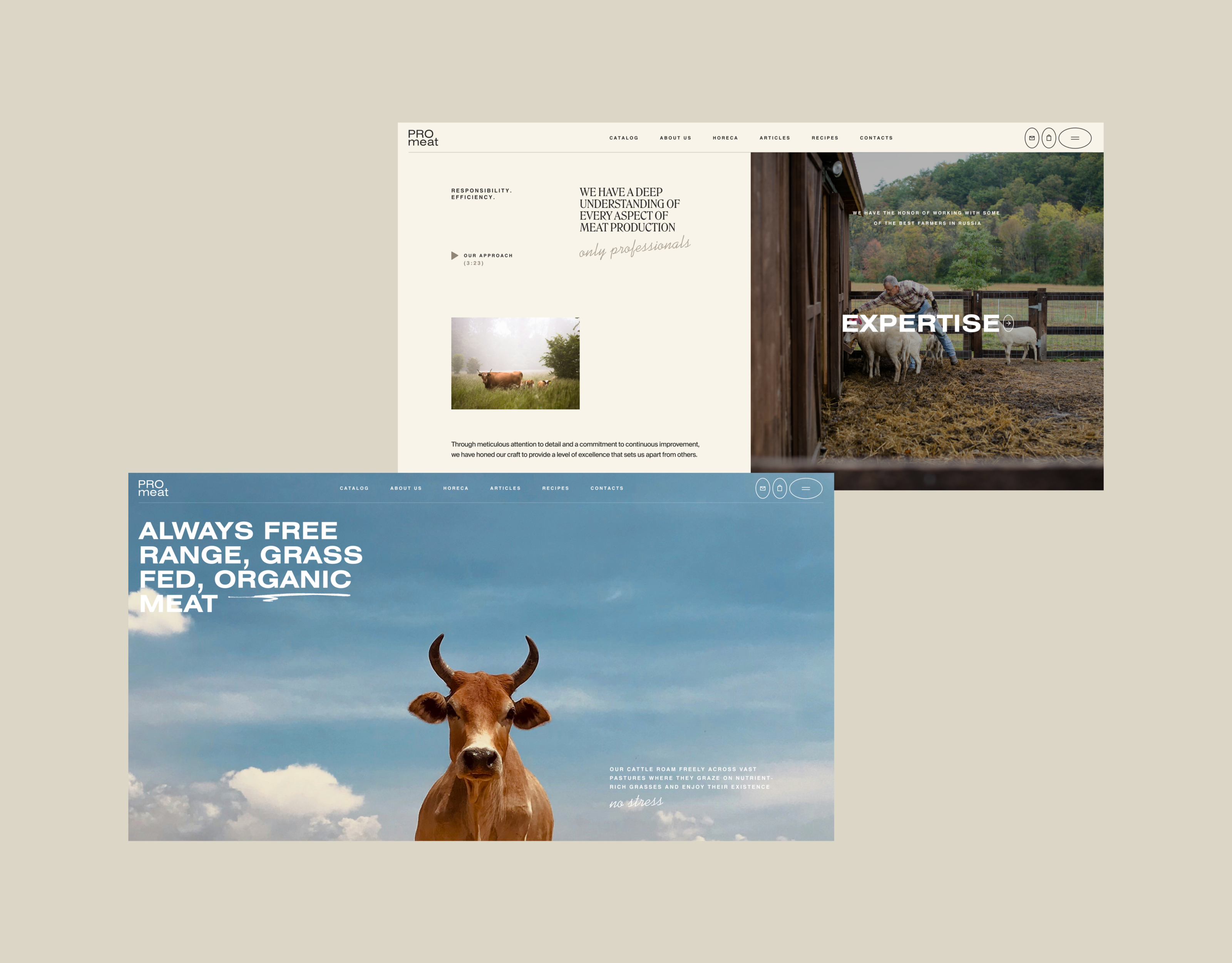 Promeat — Изображение №12 — Интерфейсы, Брендинг на Dprofile