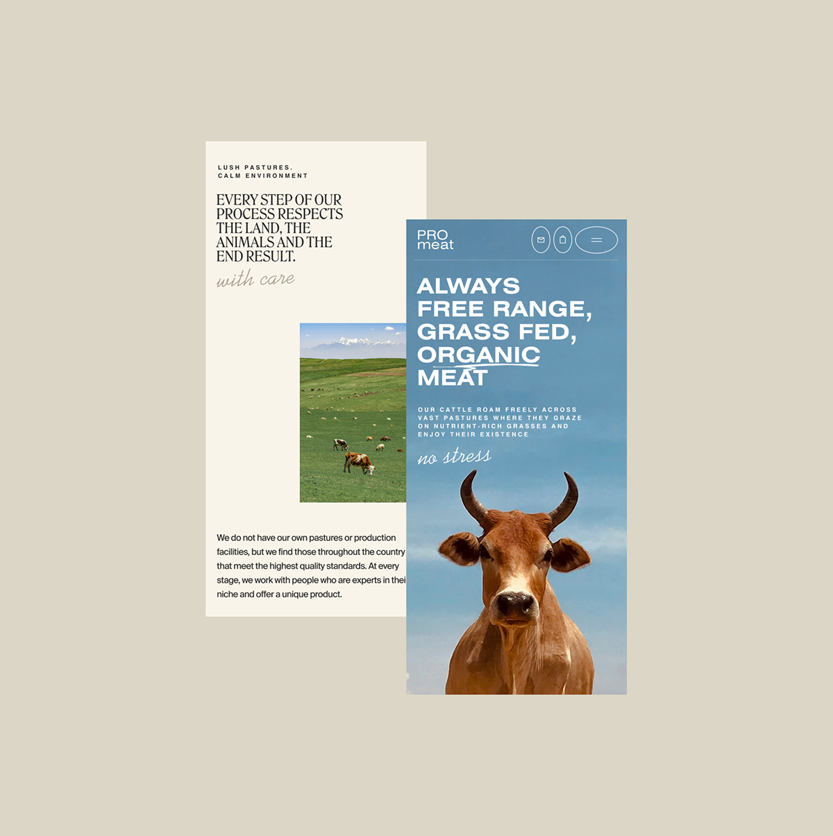 Promeat — Изображение №9 — Интерфейсы, Брендинг на Dprofile