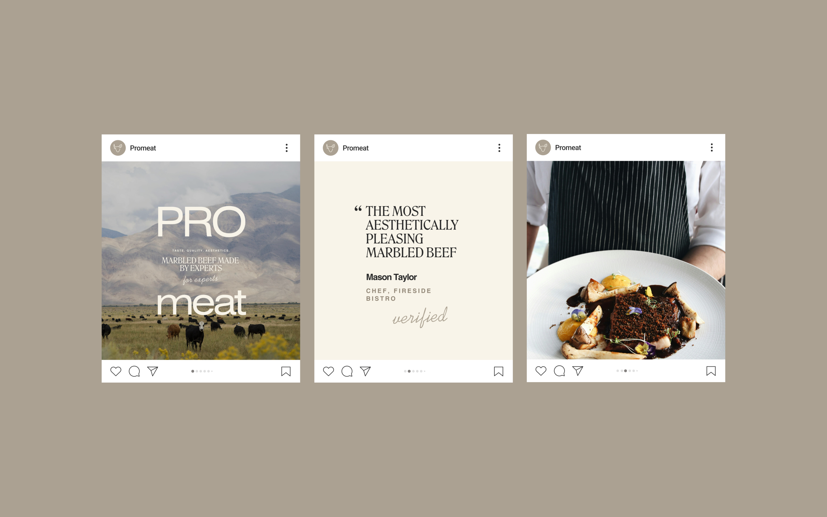 Promeat — Изображение №29 — Интерфейсы, Брендинг на Dprofile