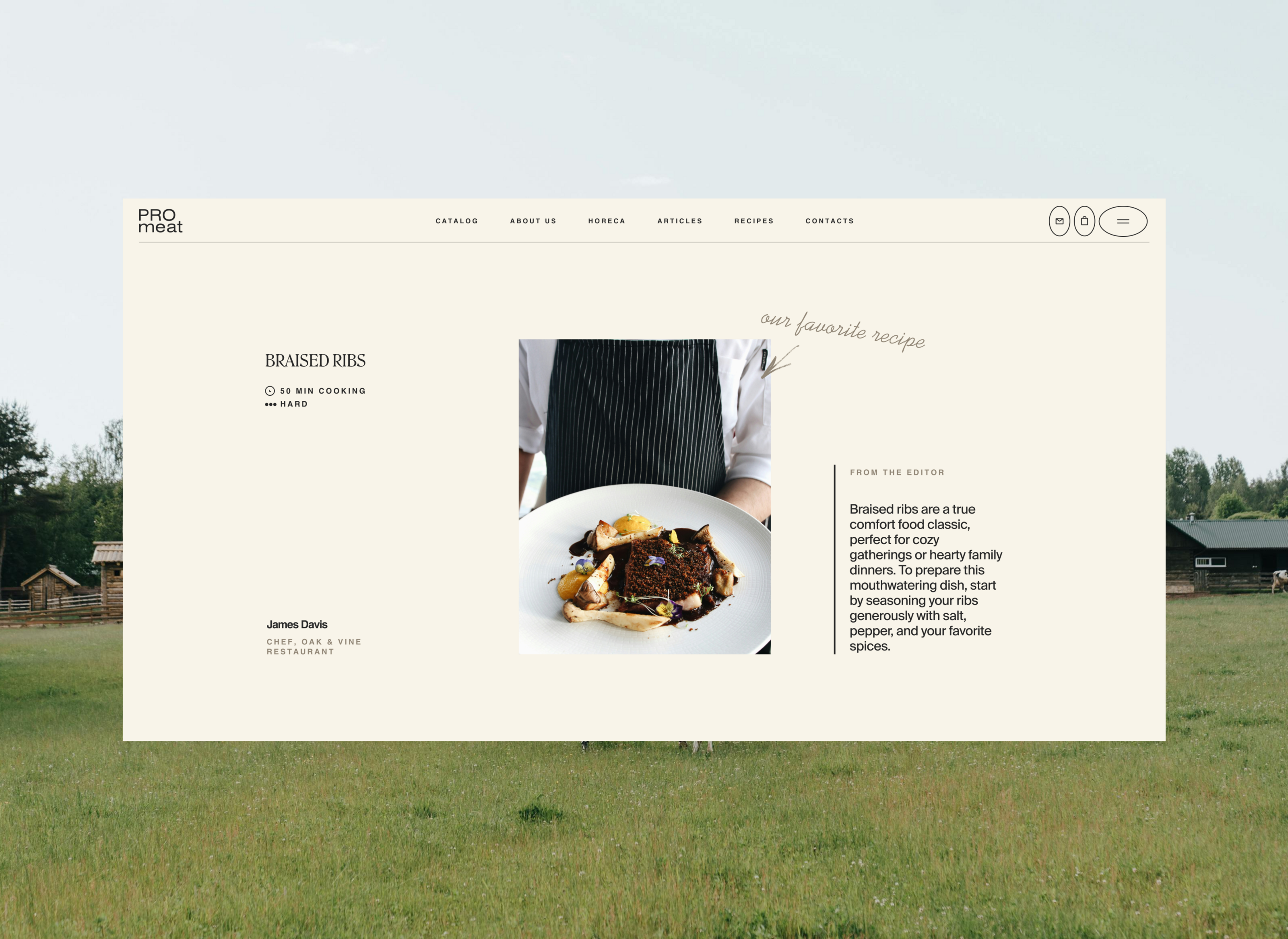 Promeat — Изображение №22 — Интерфейсы, Брендинг на Dprofile