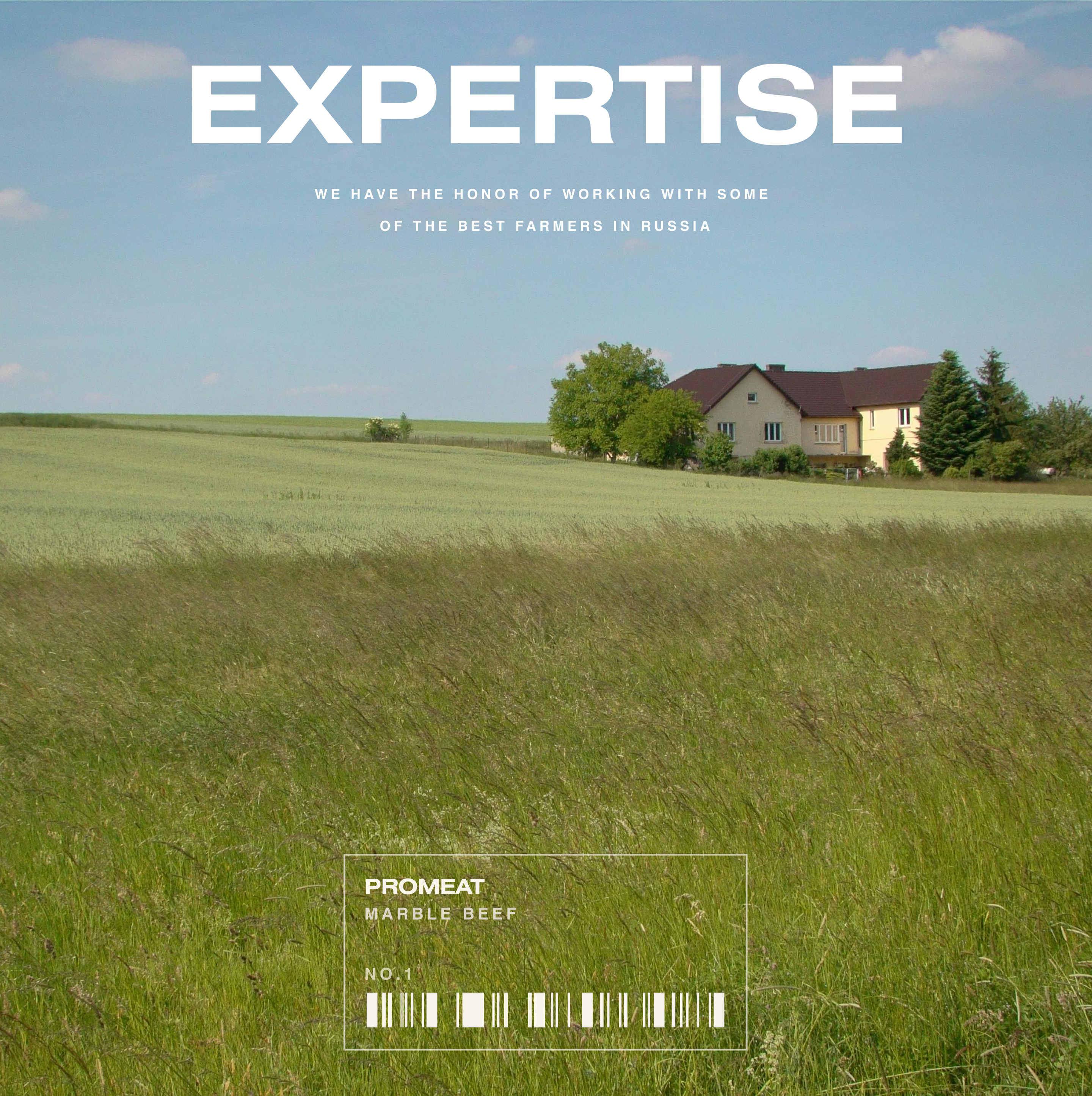 Promeat — Изображение №10 — Интерфейсы, Брендинг на Dprofile