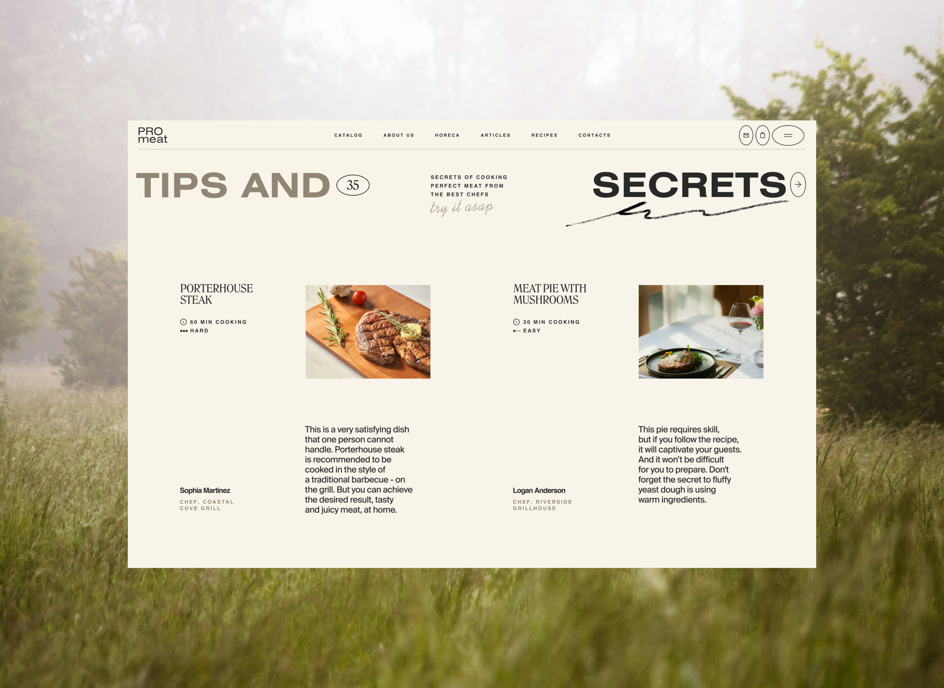 Promeat — Изображение №6 — Интерфейсы, Брендинг на Dprofile