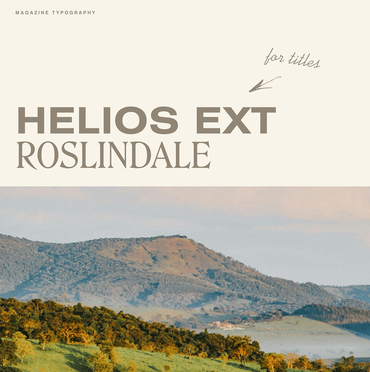 Promeat — Изображение №13 — Интерфейсы, Брендинг на Dprofile