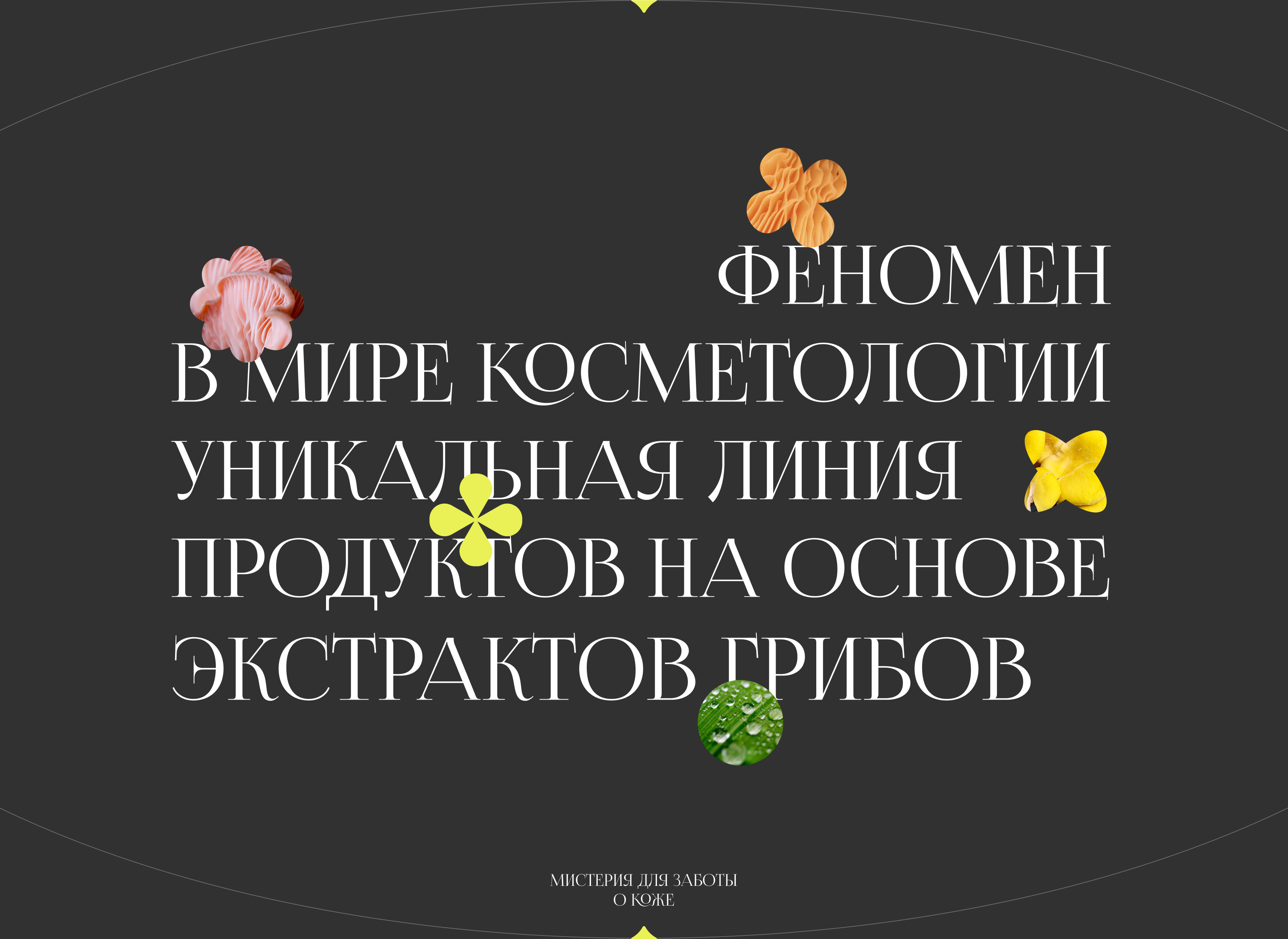 PHENOMENON cosmetic brand | UX/UI design — Изображение №3 — Интерфейсы на Dprofile