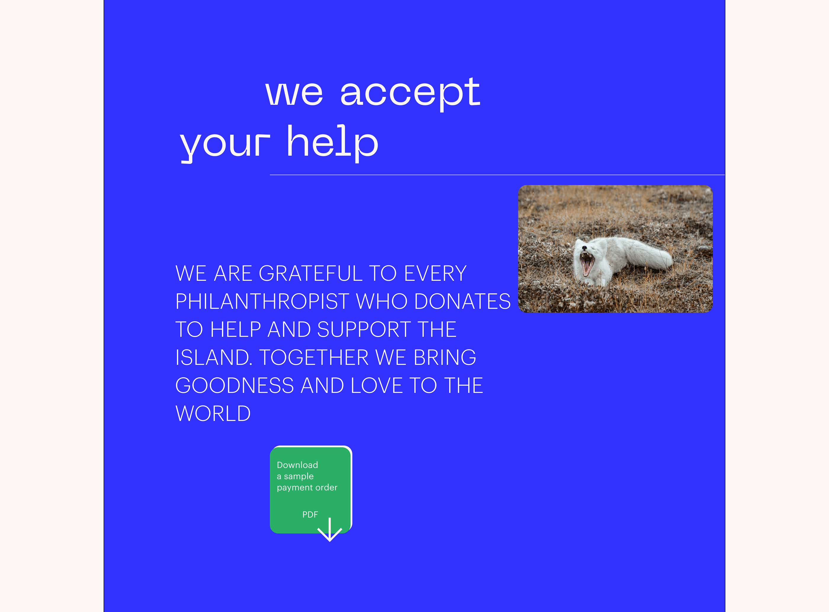 Redesign of the Wrangel Nature Reserve website — Изображение №7 — Интерфейсы, Графика, Анимация на Dprofile