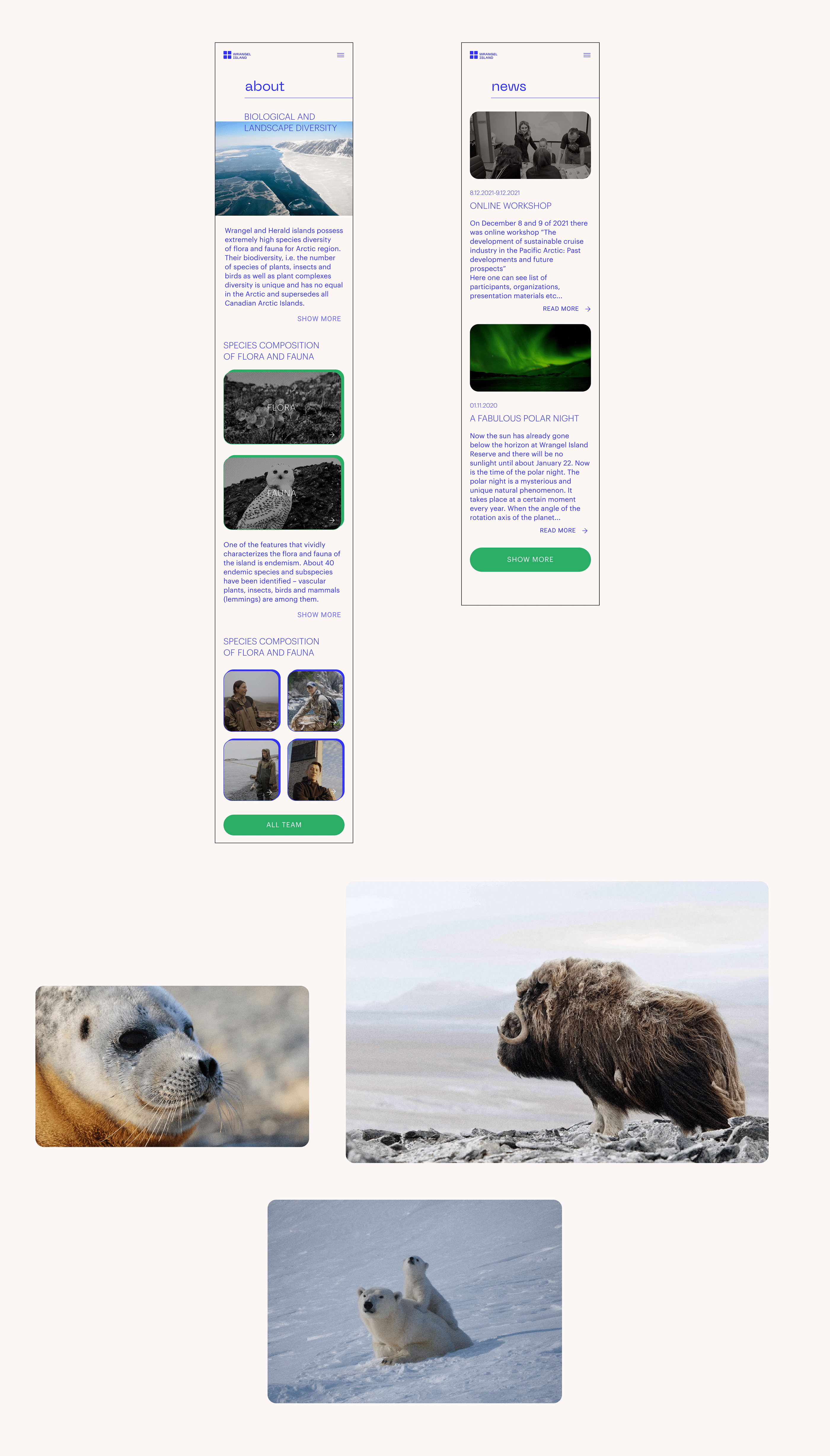 Redesign of the Wrangel Nature Reserve website — Изображение №13 — Интерфейсы, Графика, Анимация на Dprofile