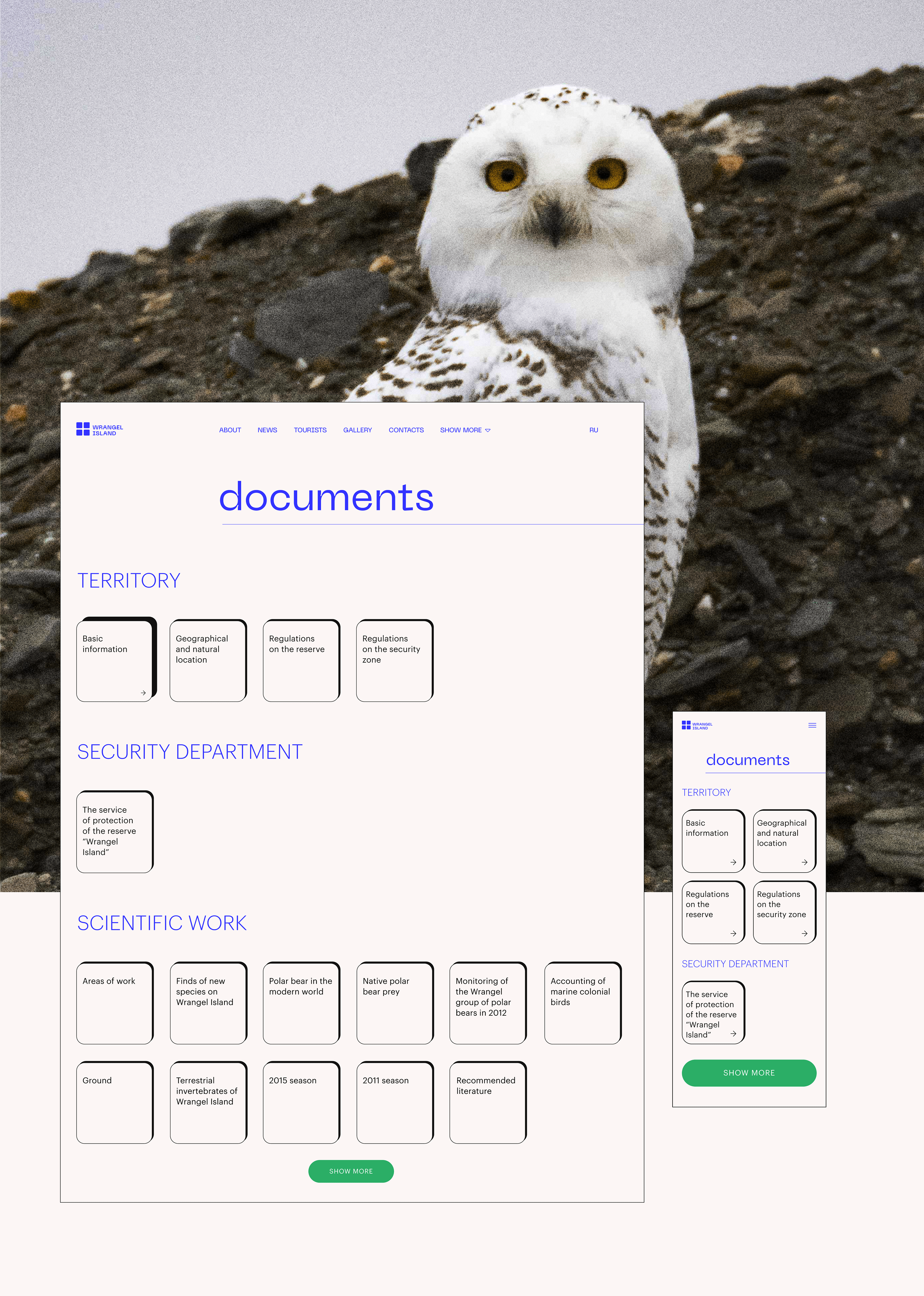 Redesign of the Wrangel Nature Reserve website — Изображение №11 — Интерфейсы, Графика, Анимация на Dprofile