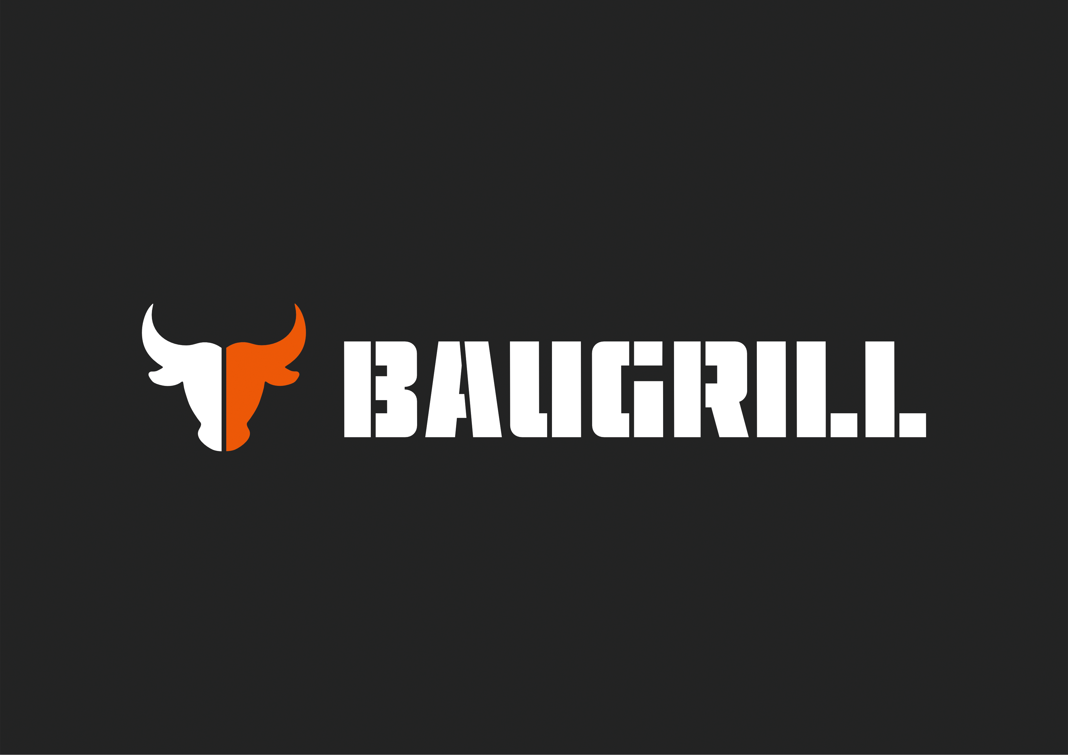 Логотип для гриль-аксессуаров│Baugrill — Изображение №2 — Брендинг, Графика на Dprofile