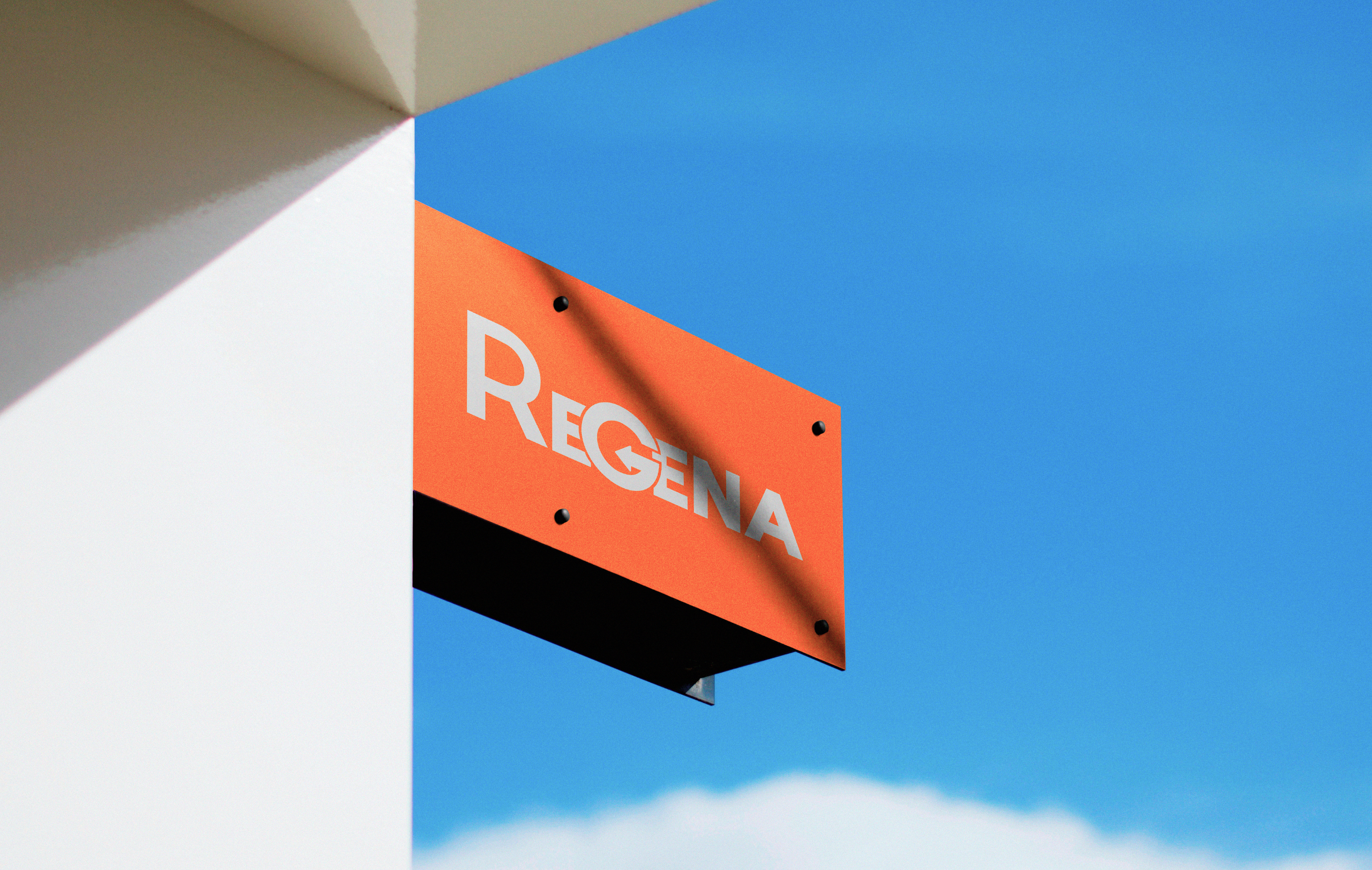 Regena Branding — Изображение №6 — Брендинг на Dprofile