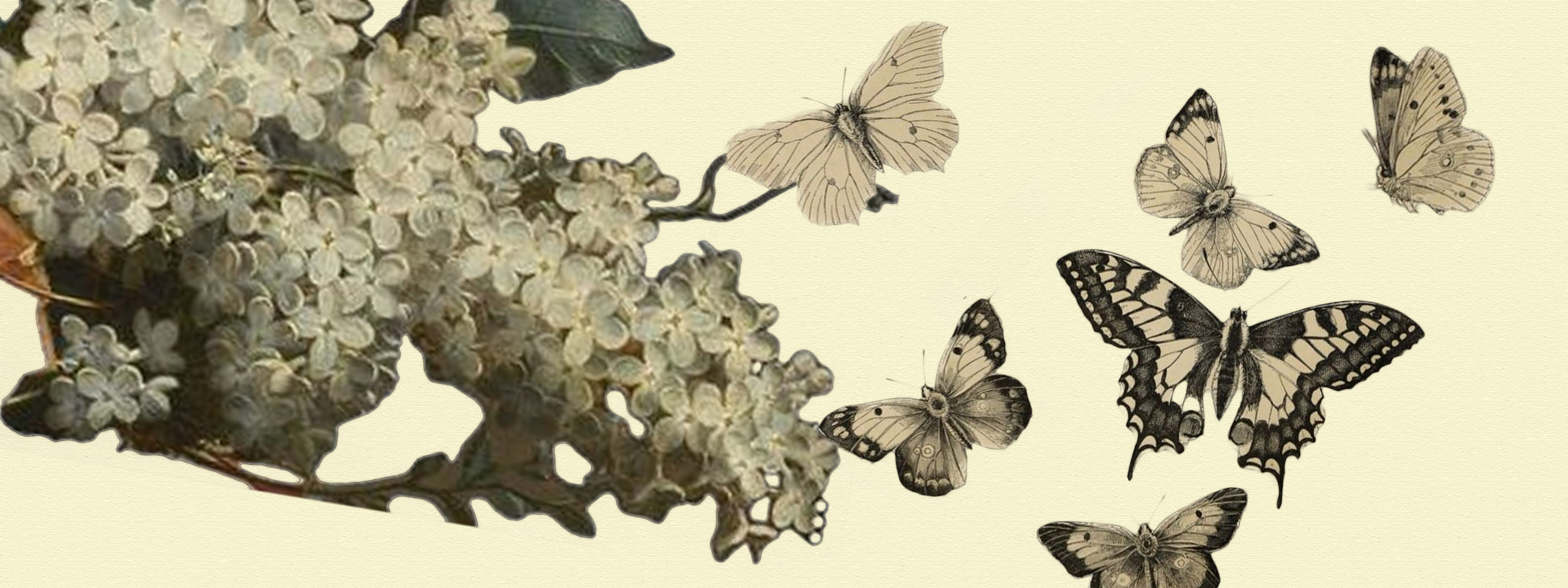 Распад — Изображение №6 — Графика на Dprofile