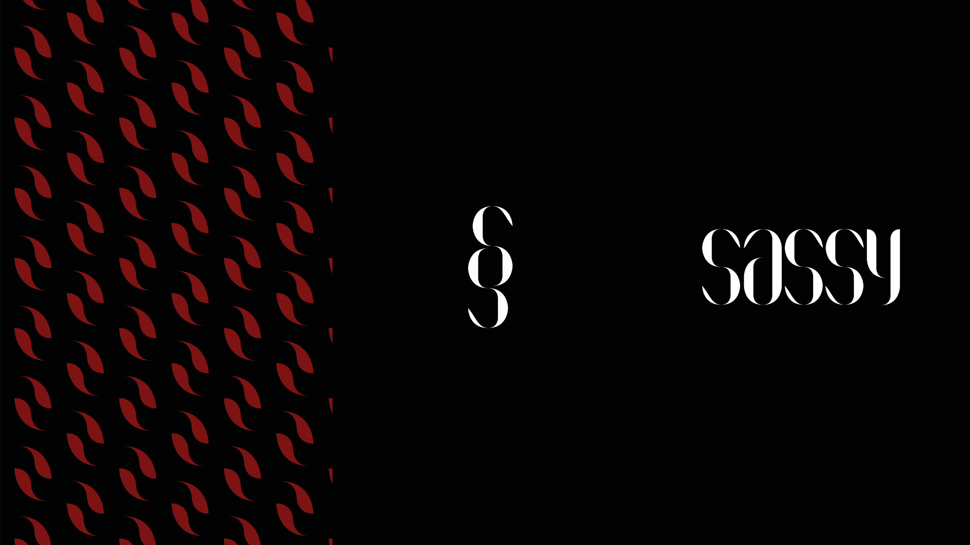 Sassy бренд женской одежды — Изображение №7 — Брендинг на Dprofile