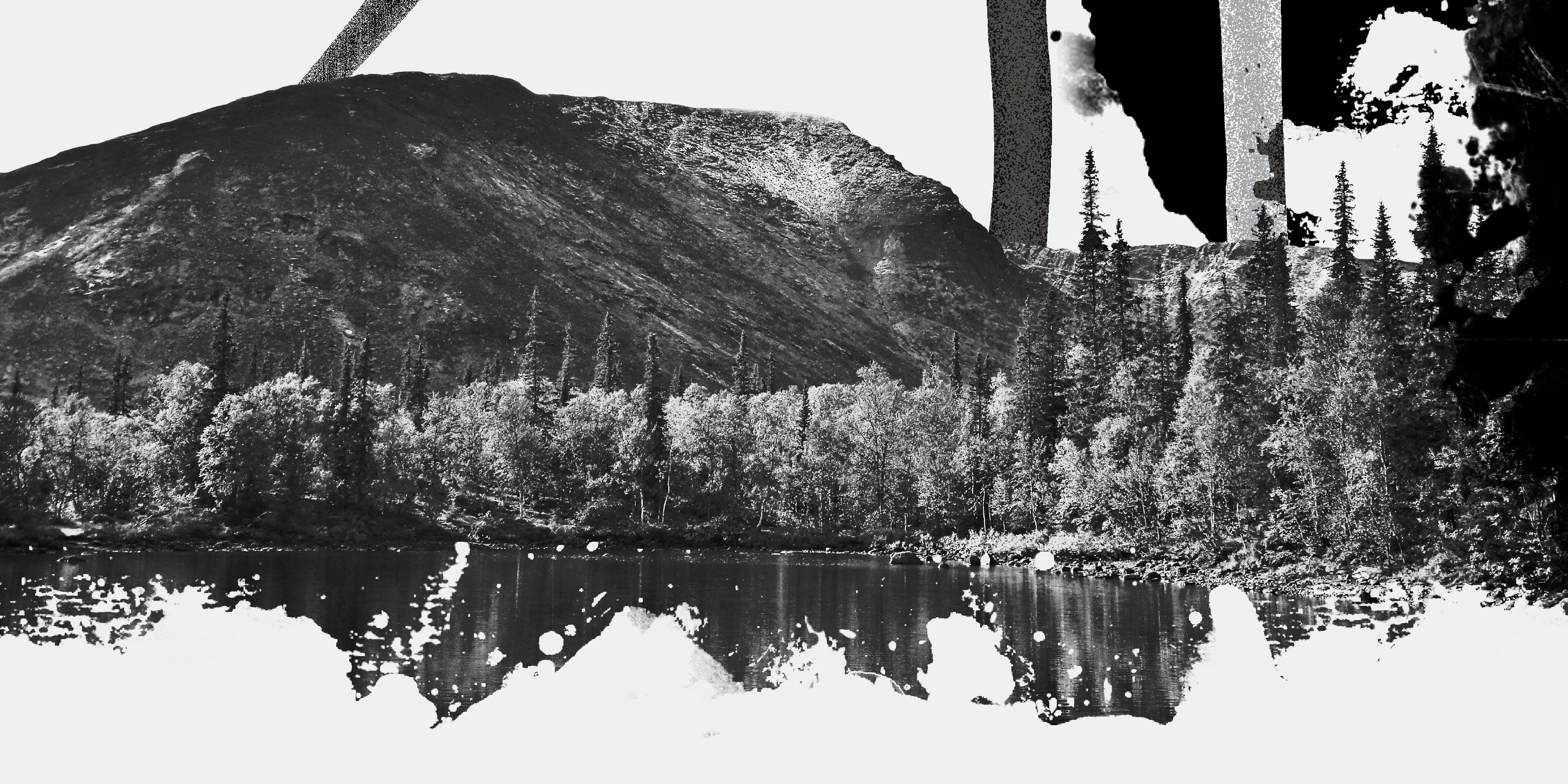 Волшебная страна — Изображение №20 — Брендинг на Dprofile