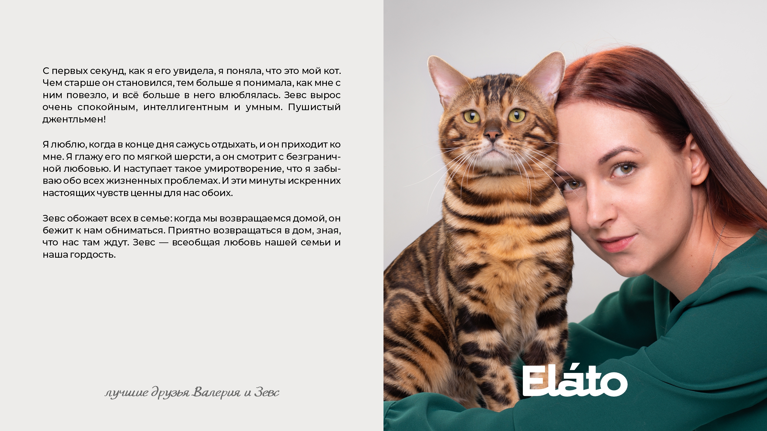 Elato — Изображение №8 — Брендинг на Dprofile