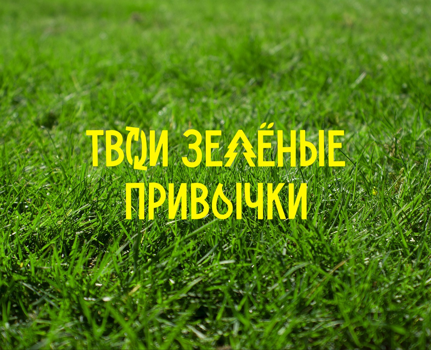 Брендинг эко-проекта для ПАО Казаньоргсинтез — Брендинг на Dprofile