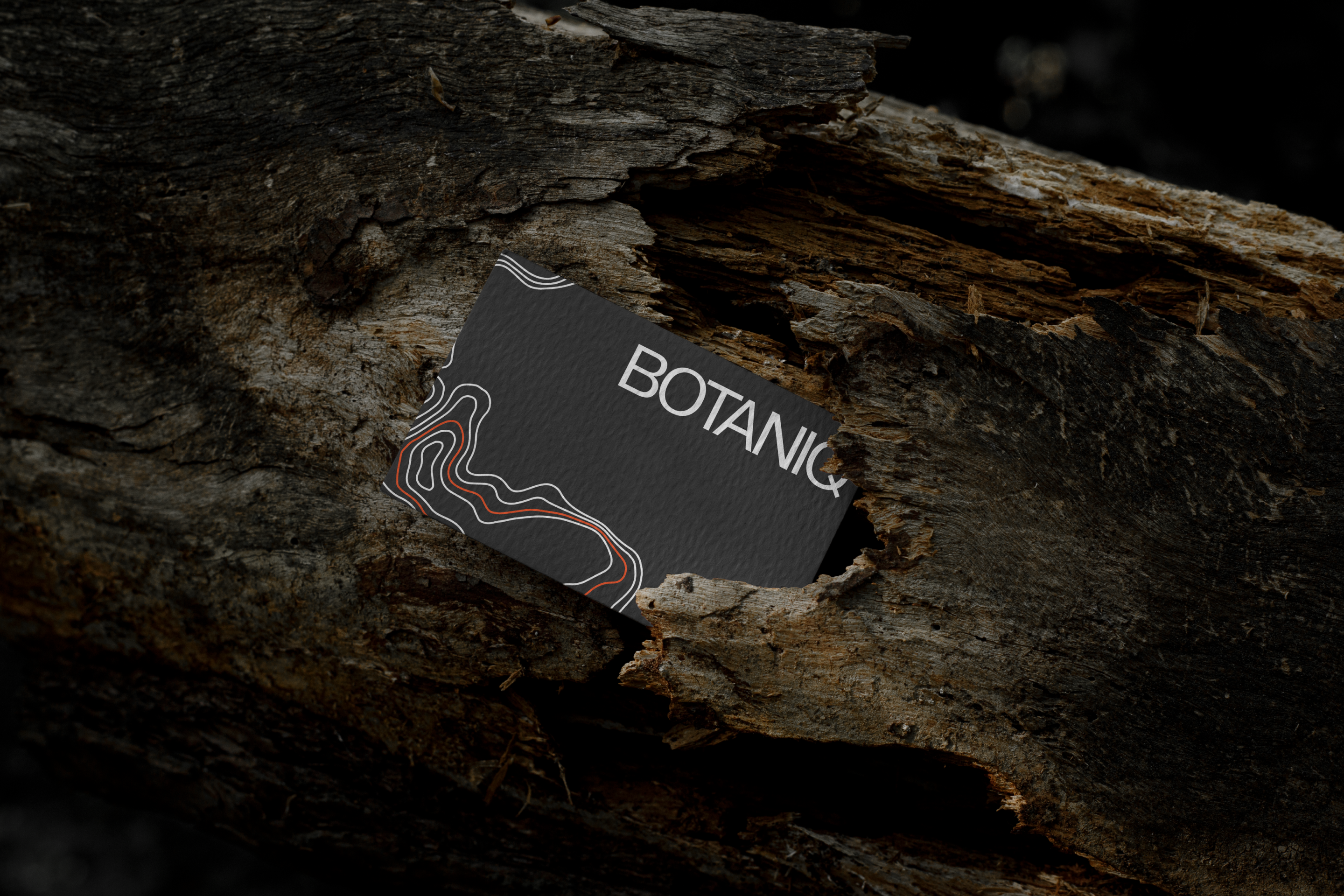 COSMETIC BRAND IDENTITY | BOTAN(IQ) — Изображение №3 — Брендинг, Графика на Dprofile